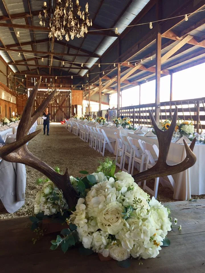 Rustic Cow Track Ranch, Boho Chic meets backyard ranch wedding.