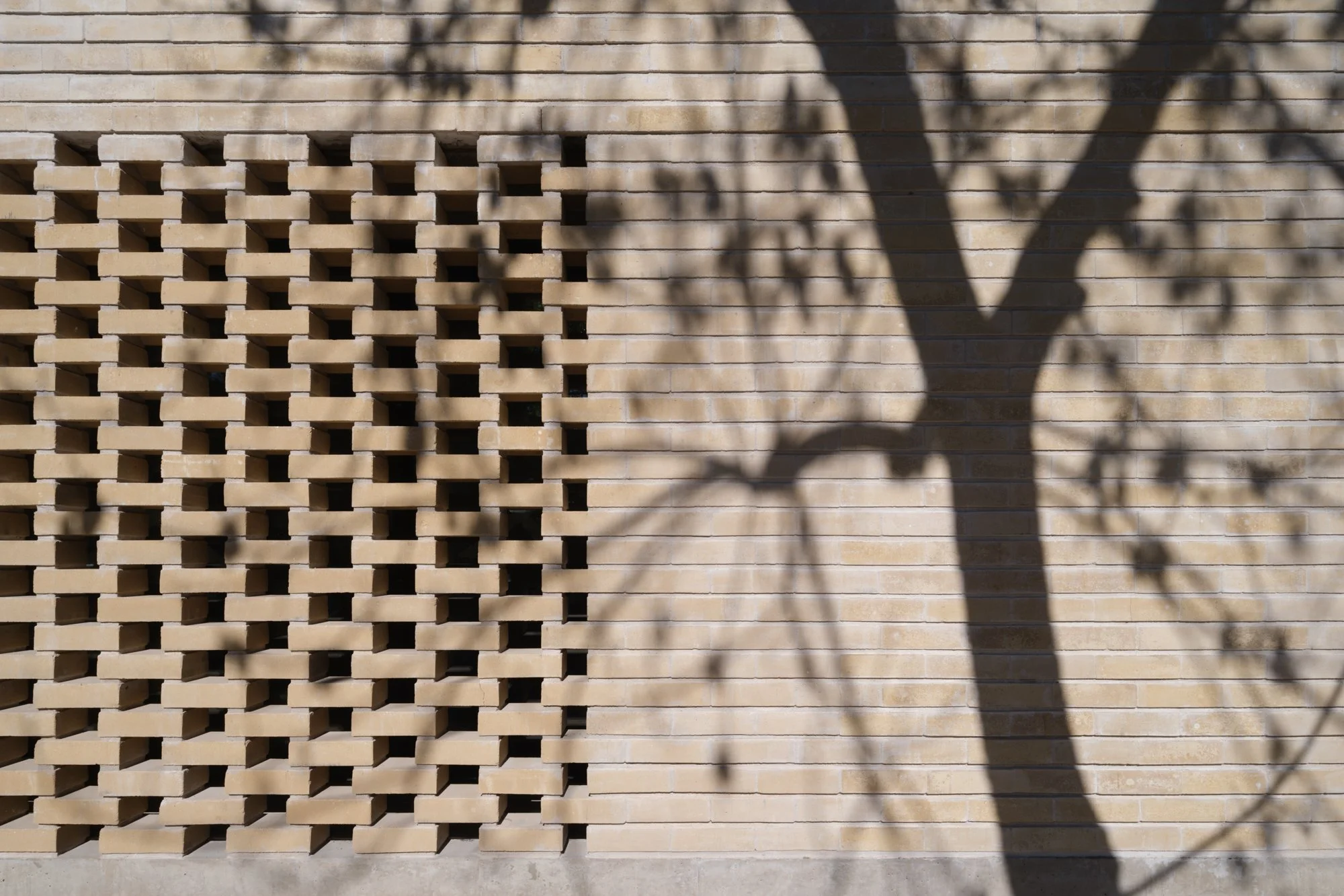 javier agustin rojas_vecindad jn_DSF9153_low.jpg