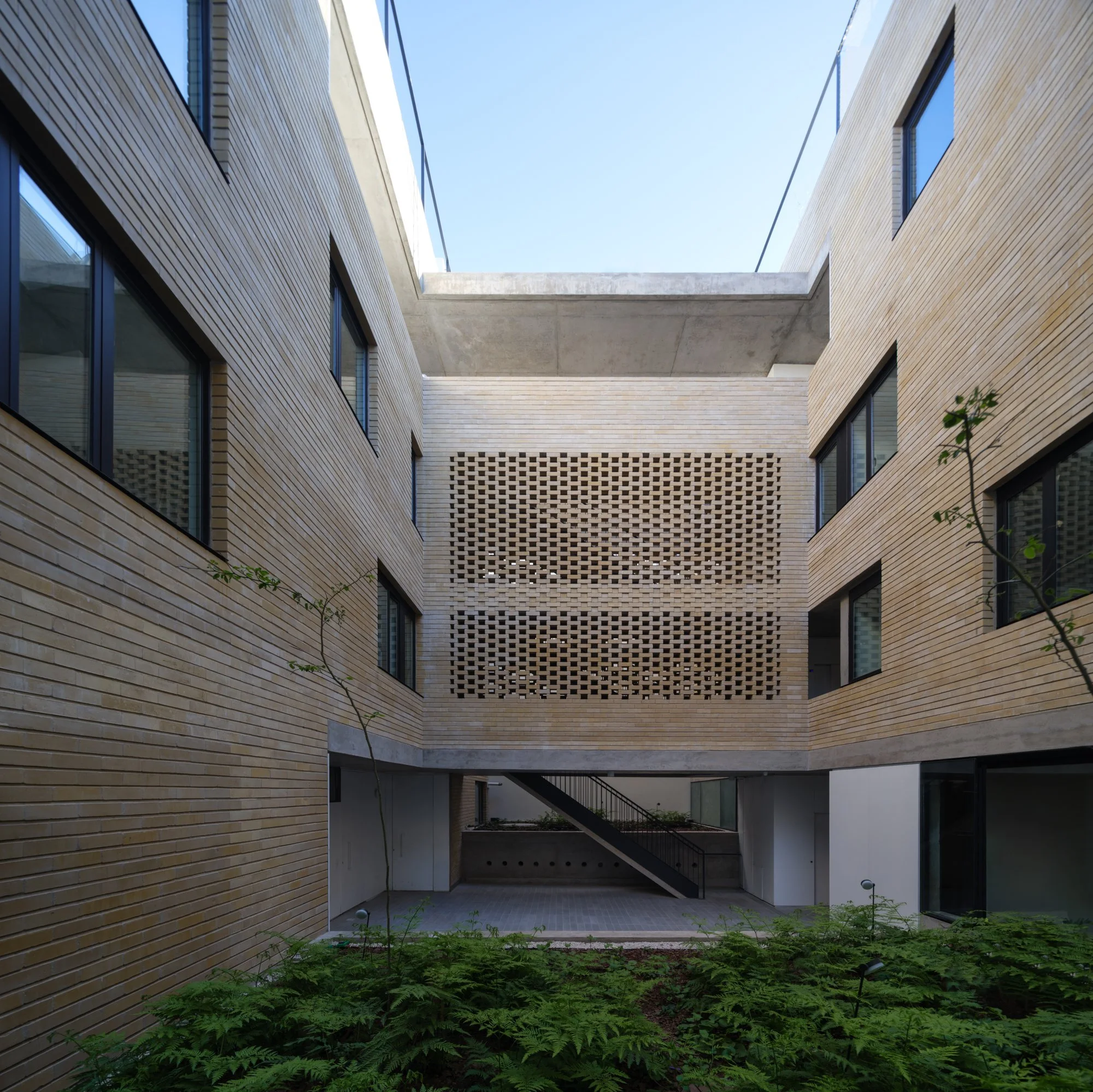 javier agustin rojas_vecindad jn_DSF9223-22-edit_low.jpg