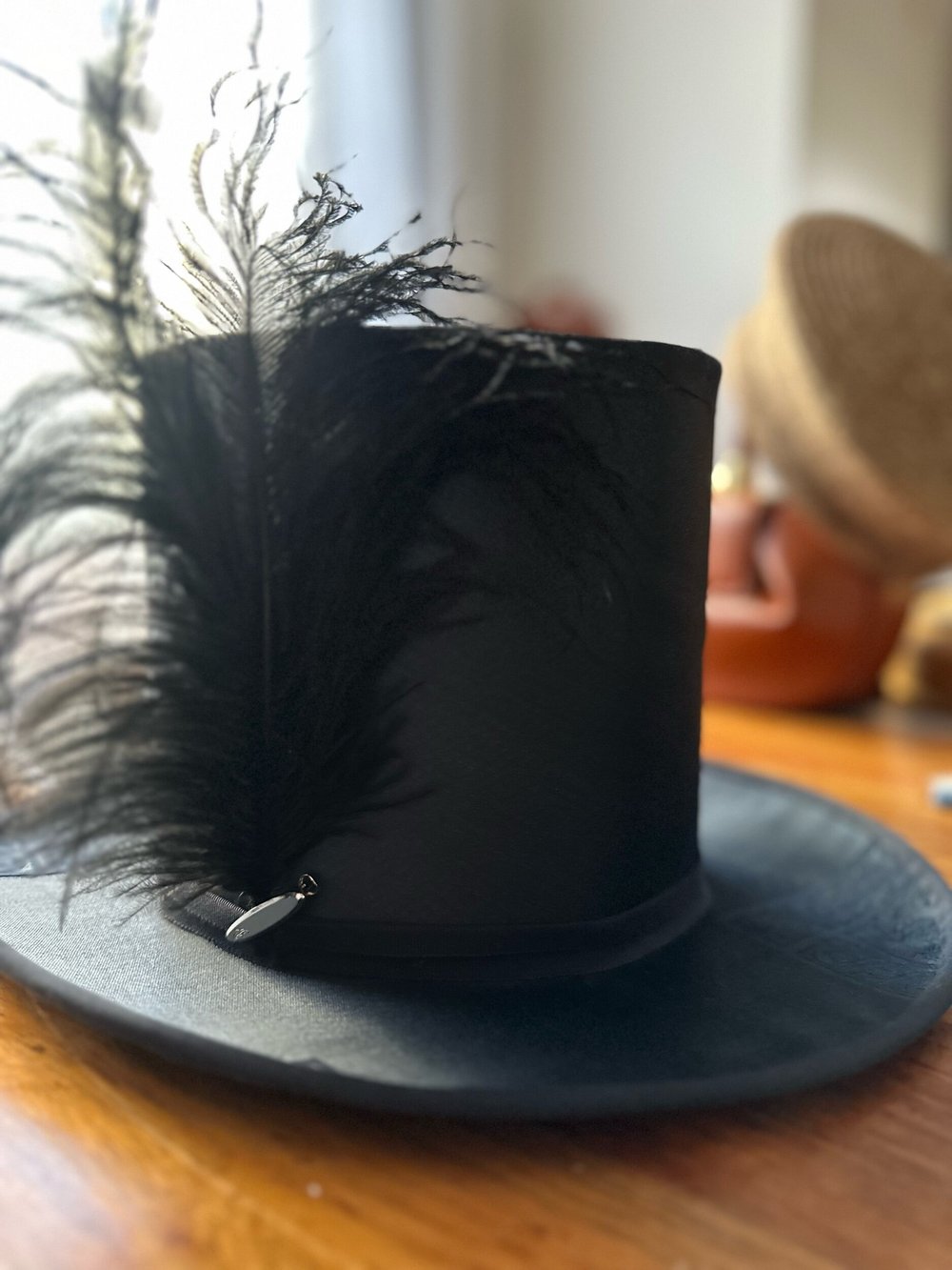 ByVlada-Giovanni Distressed Wool Wide-Brim Hat | ByVlada NYC display picture 1