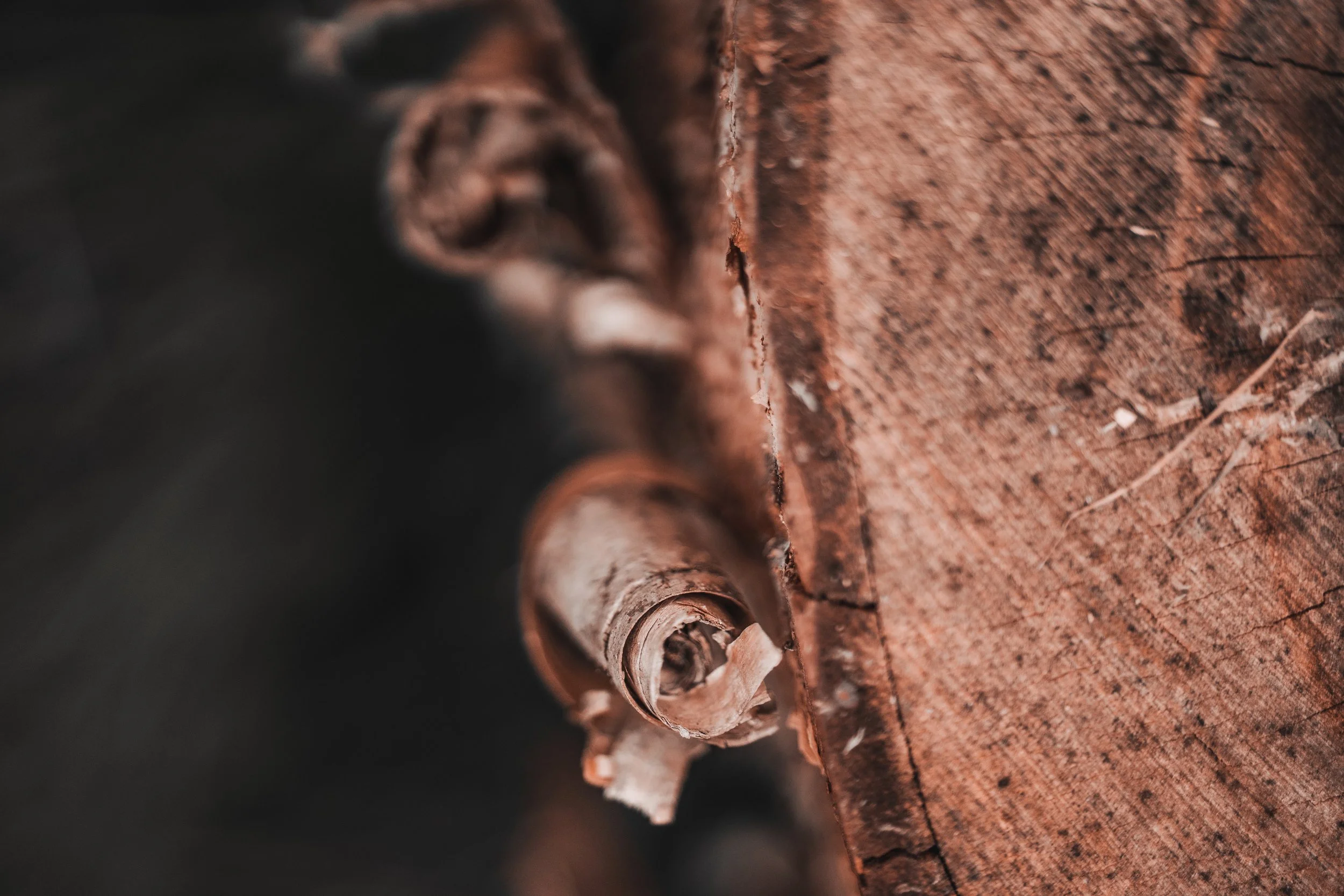 Milles Iles-52.jpg