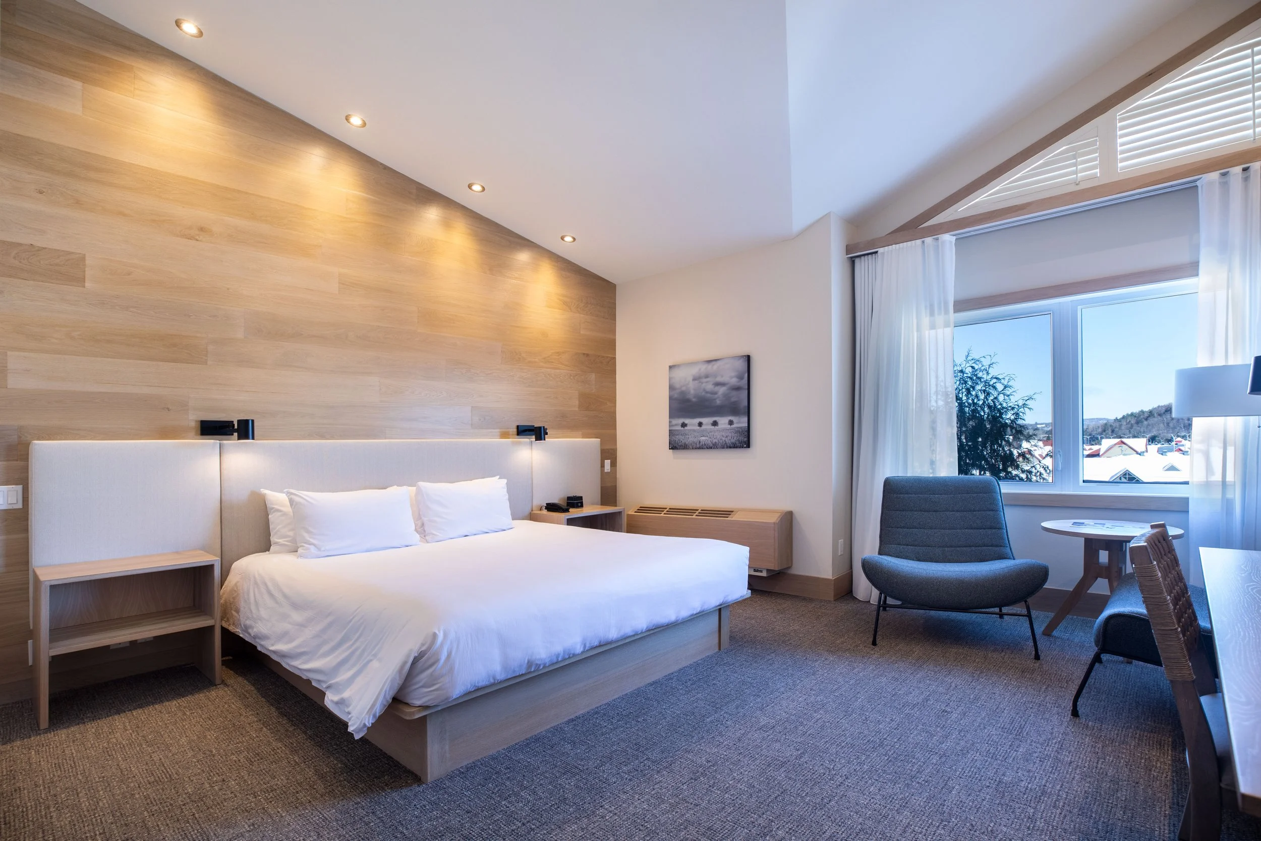 Suite-1.jpg