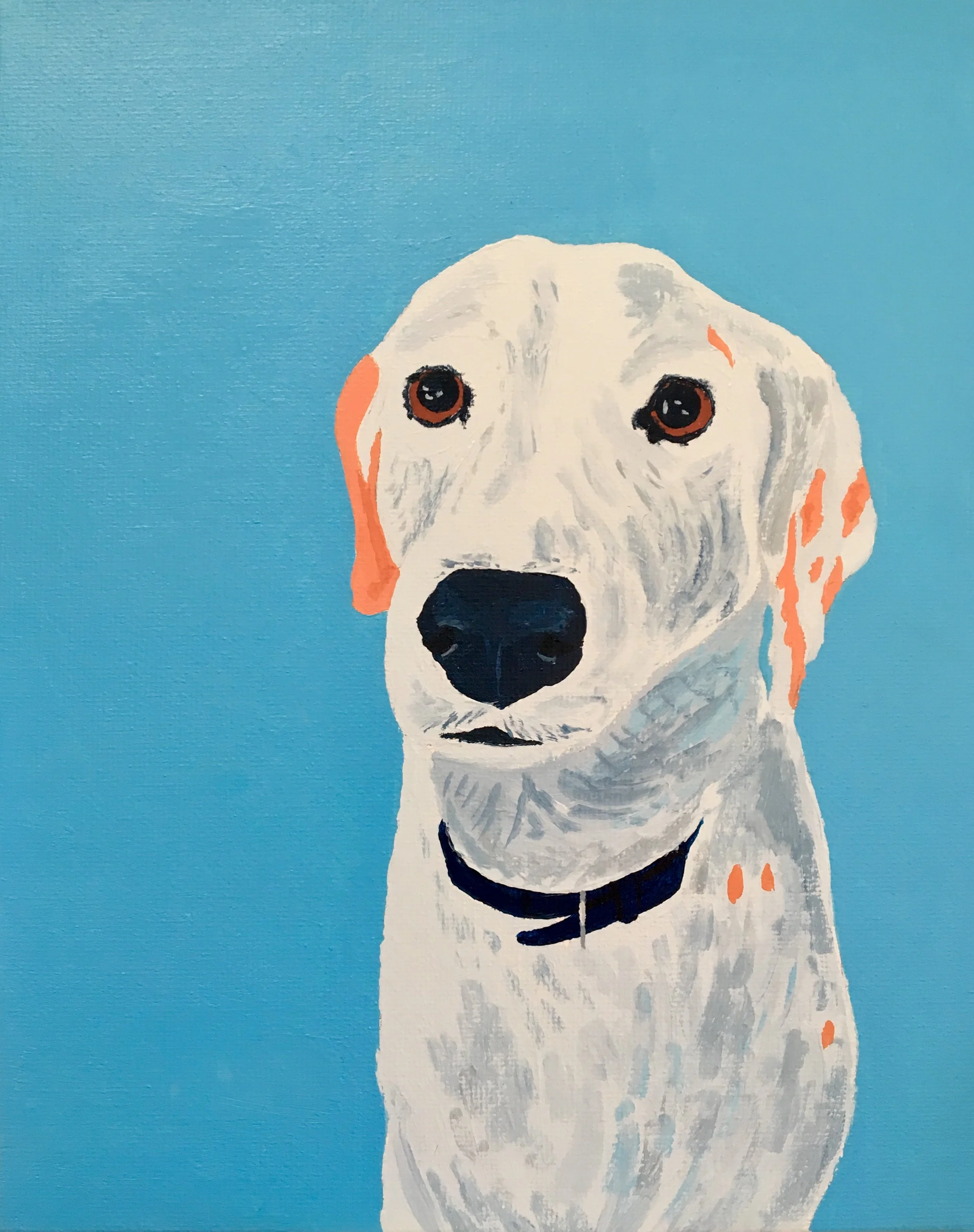 Blue Dog