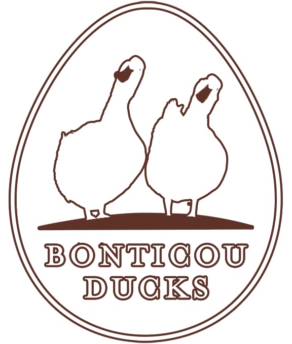 Bonticou Ducks