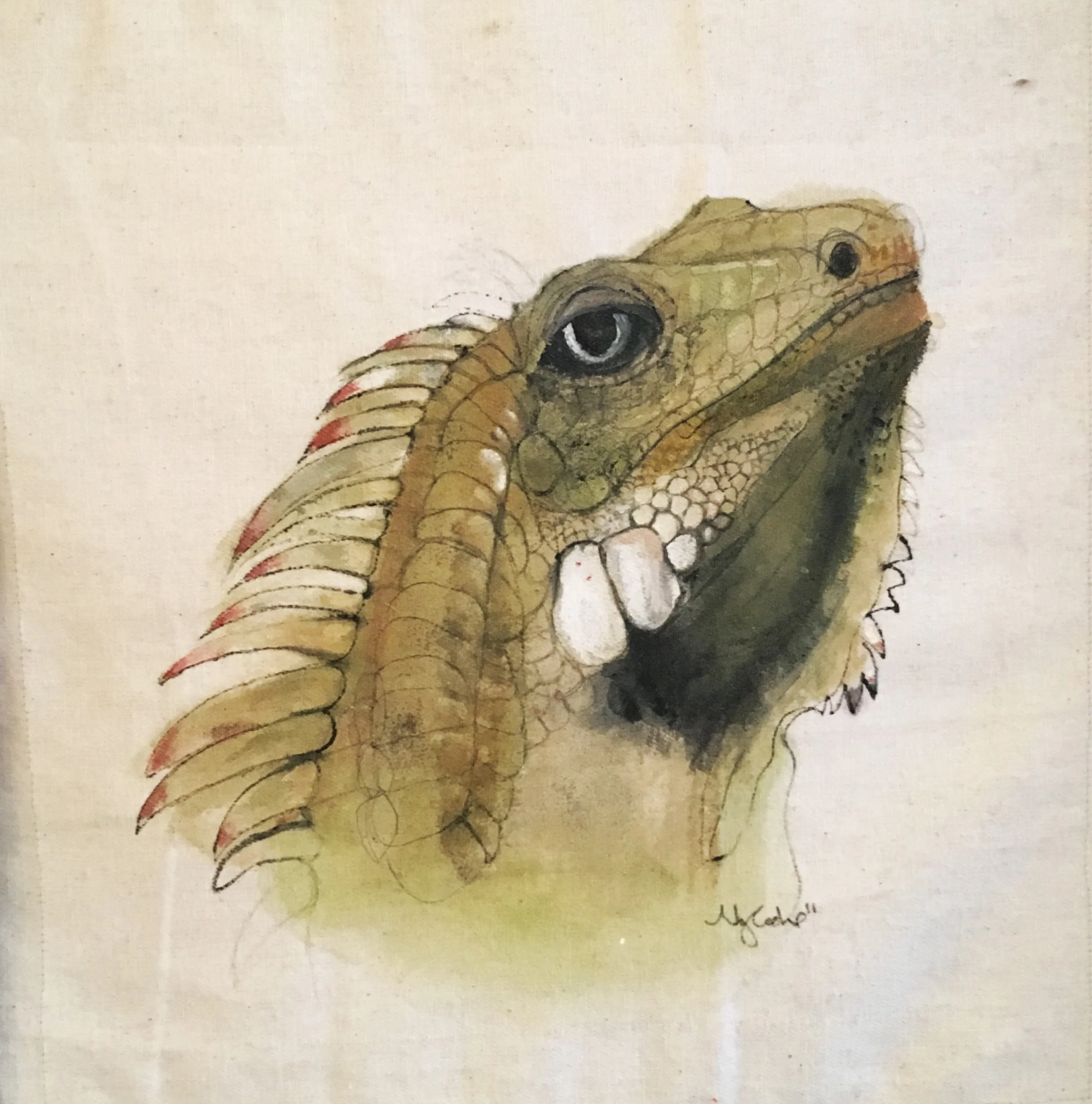 Lizard.jpg
