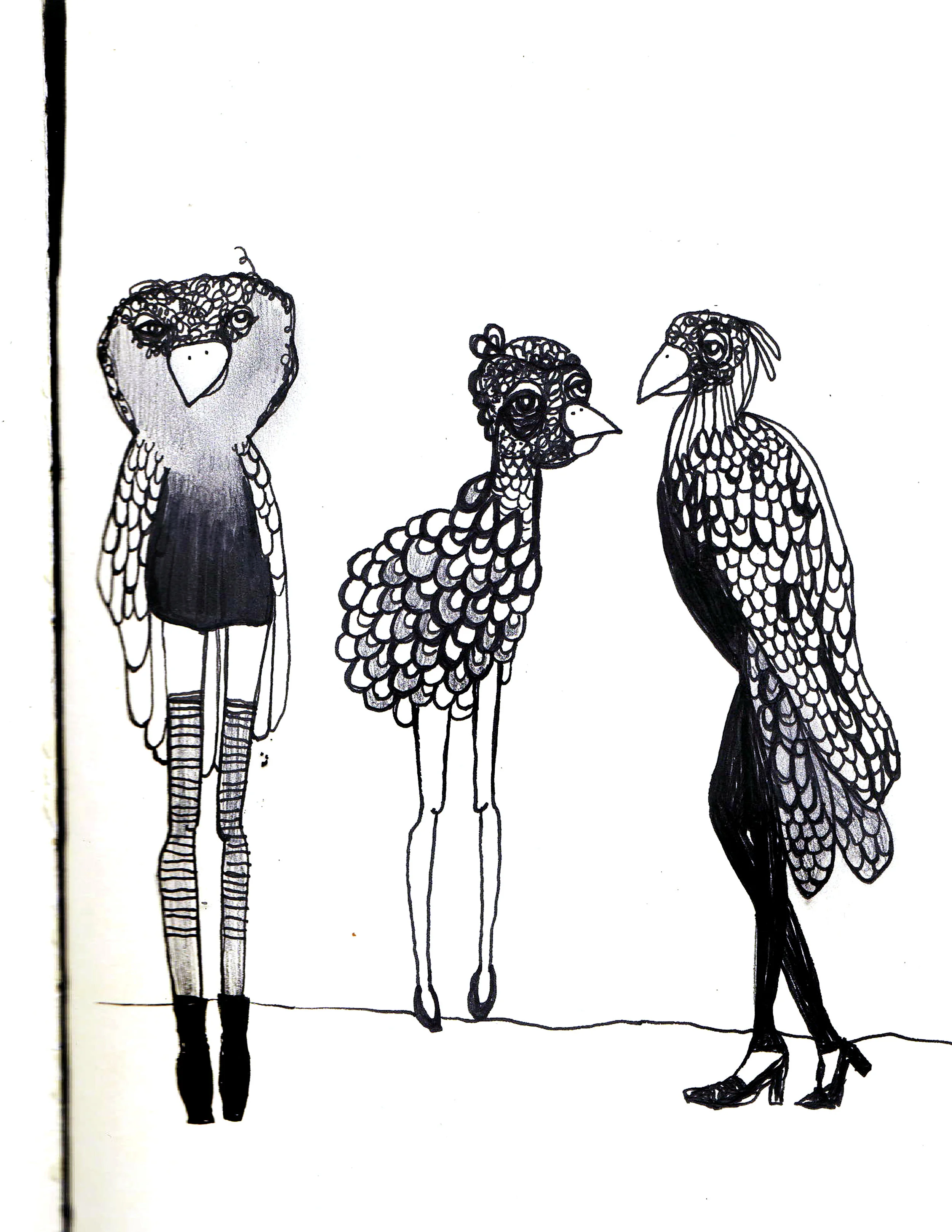 birdgirls1.jpg