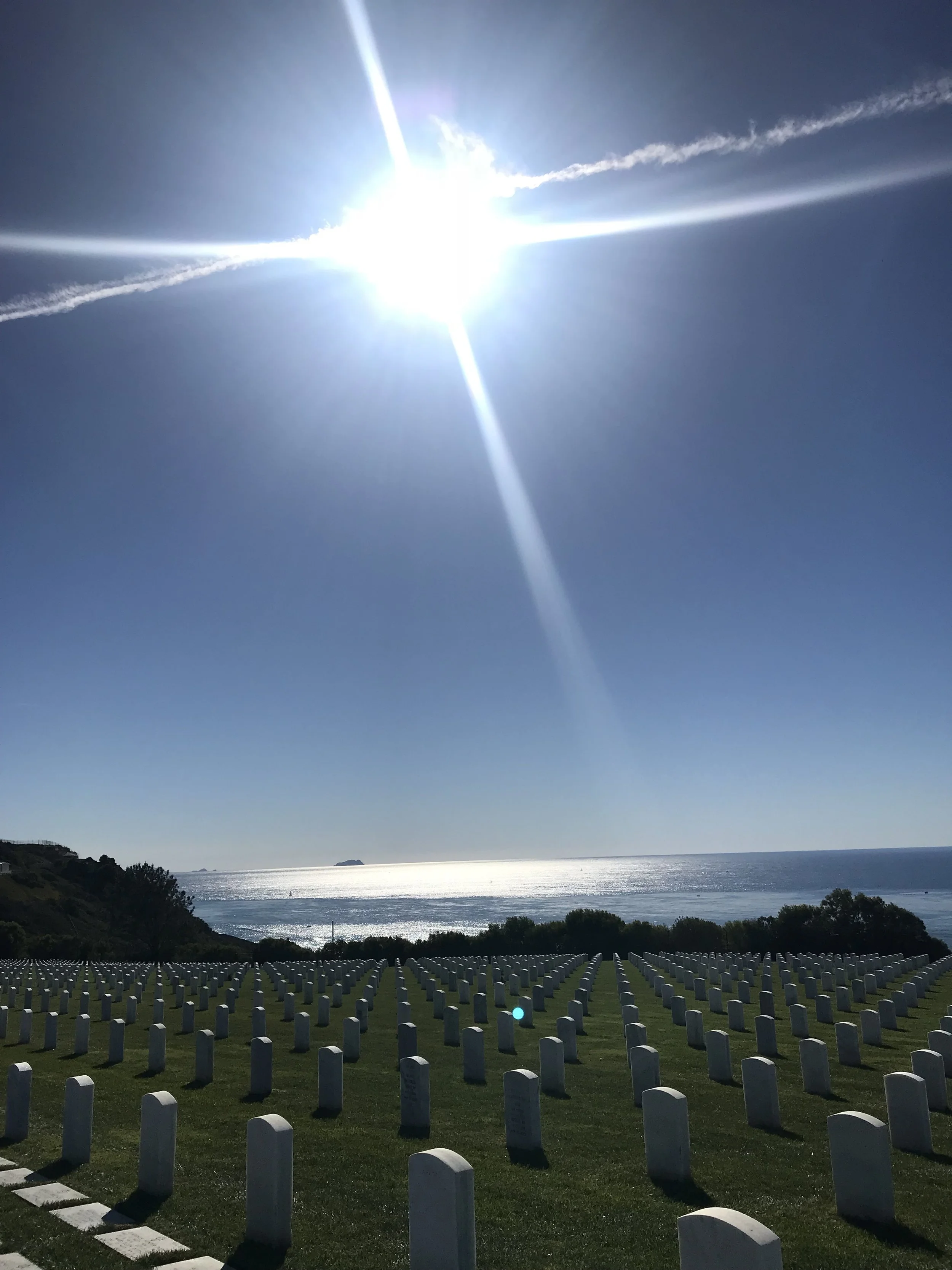 SDday302.jpg
