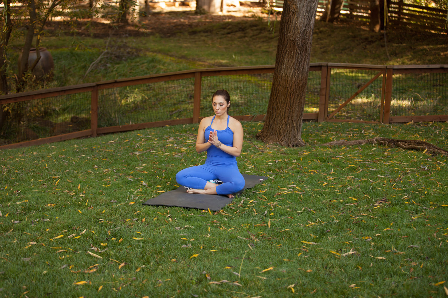 Episode 3 - Healing Power of Nature