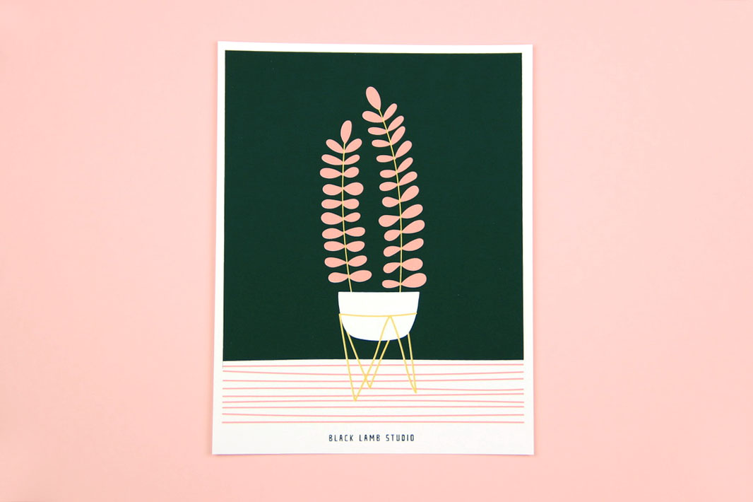 Botanical.jpg