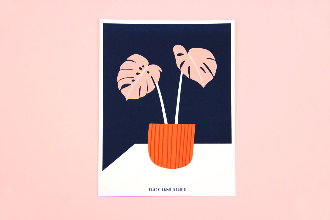 pink monstera.jpg