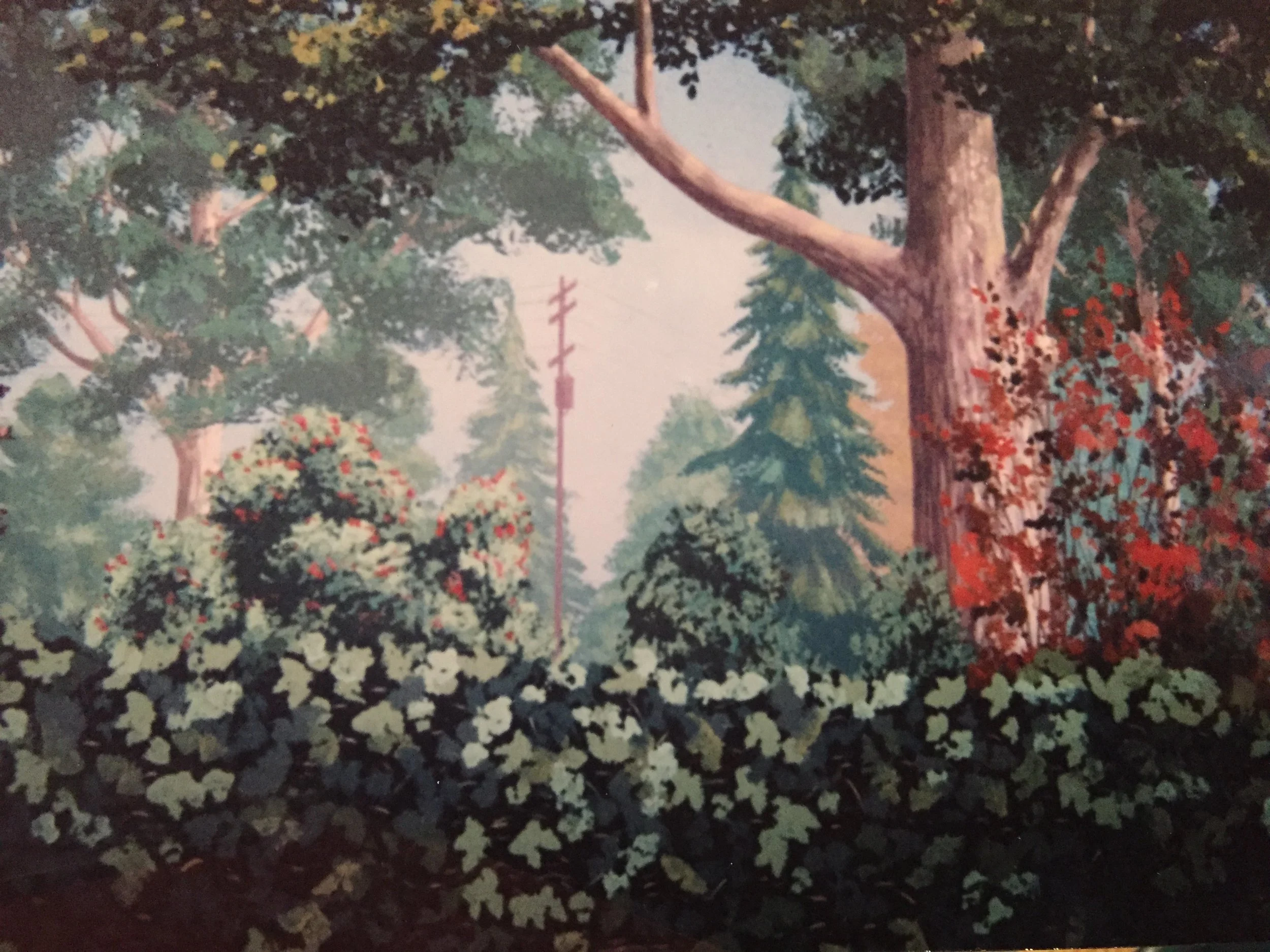 Malcolm in the Middle backdrop view 2.JPG