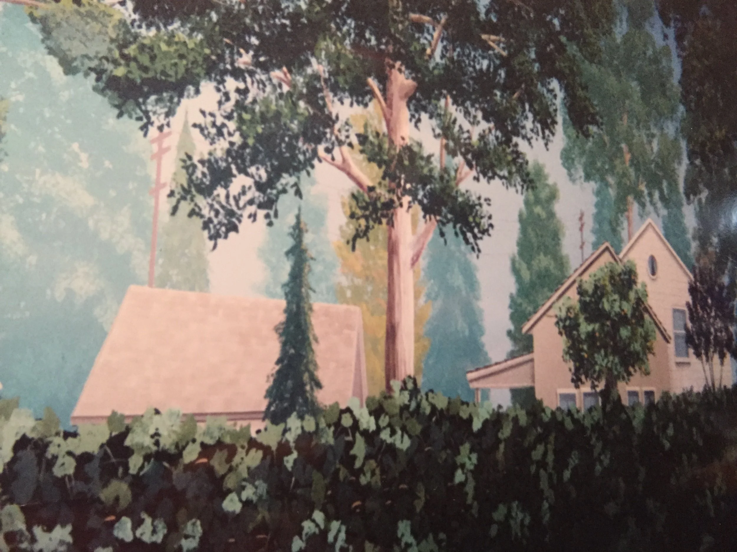 Malcolm in the Middle backdrop view 4.JPG