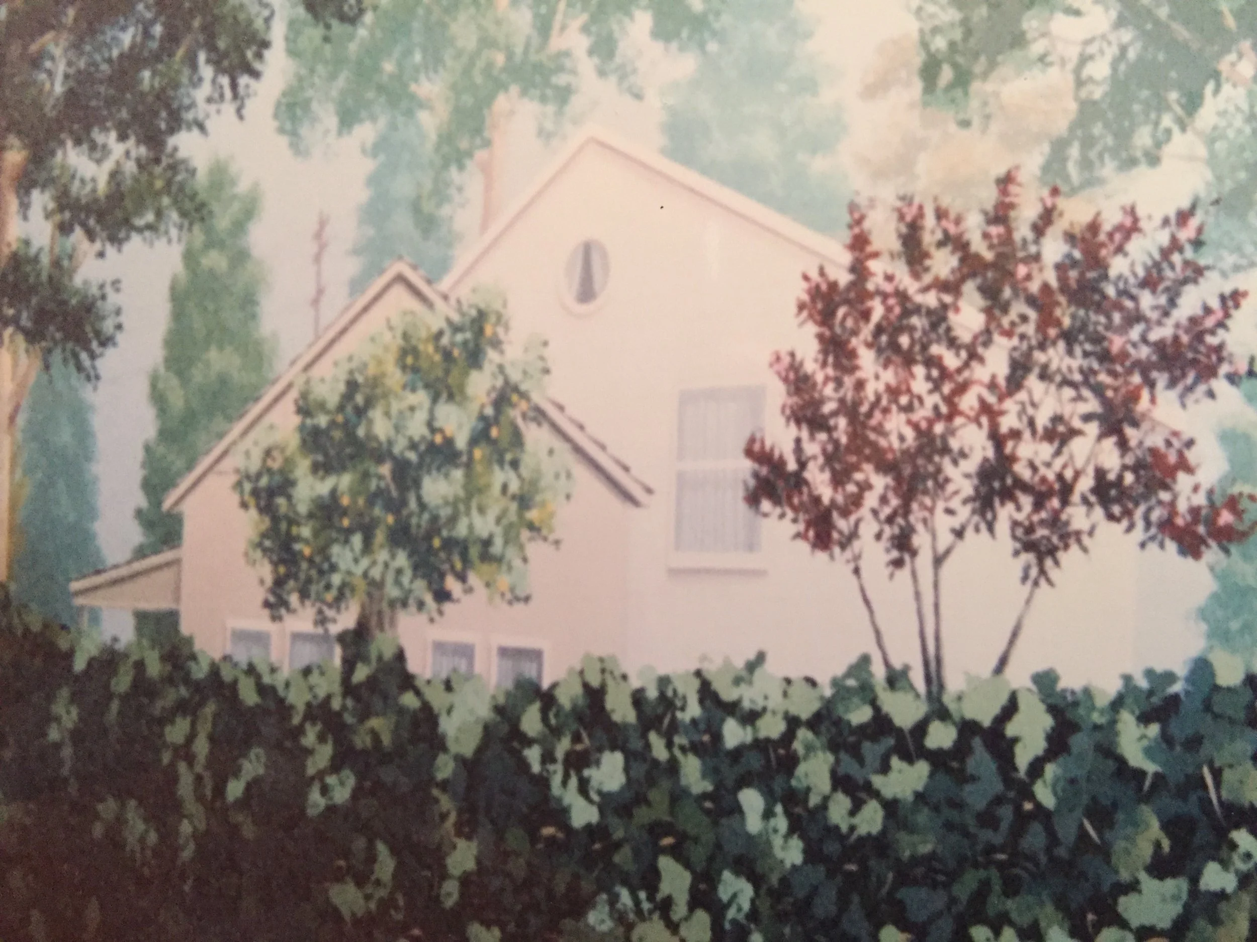 Malcolm in the Middle backdrop view 3.JPG