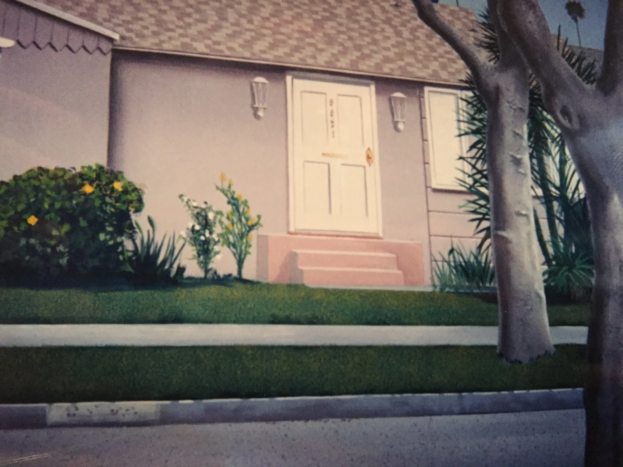 Malcolm in the Middle backdrop view 5.JPG