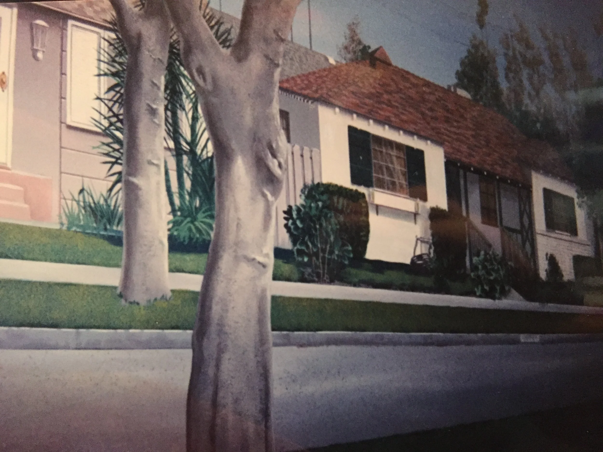 Malcolm in the Middle backdrop view 1.JPG