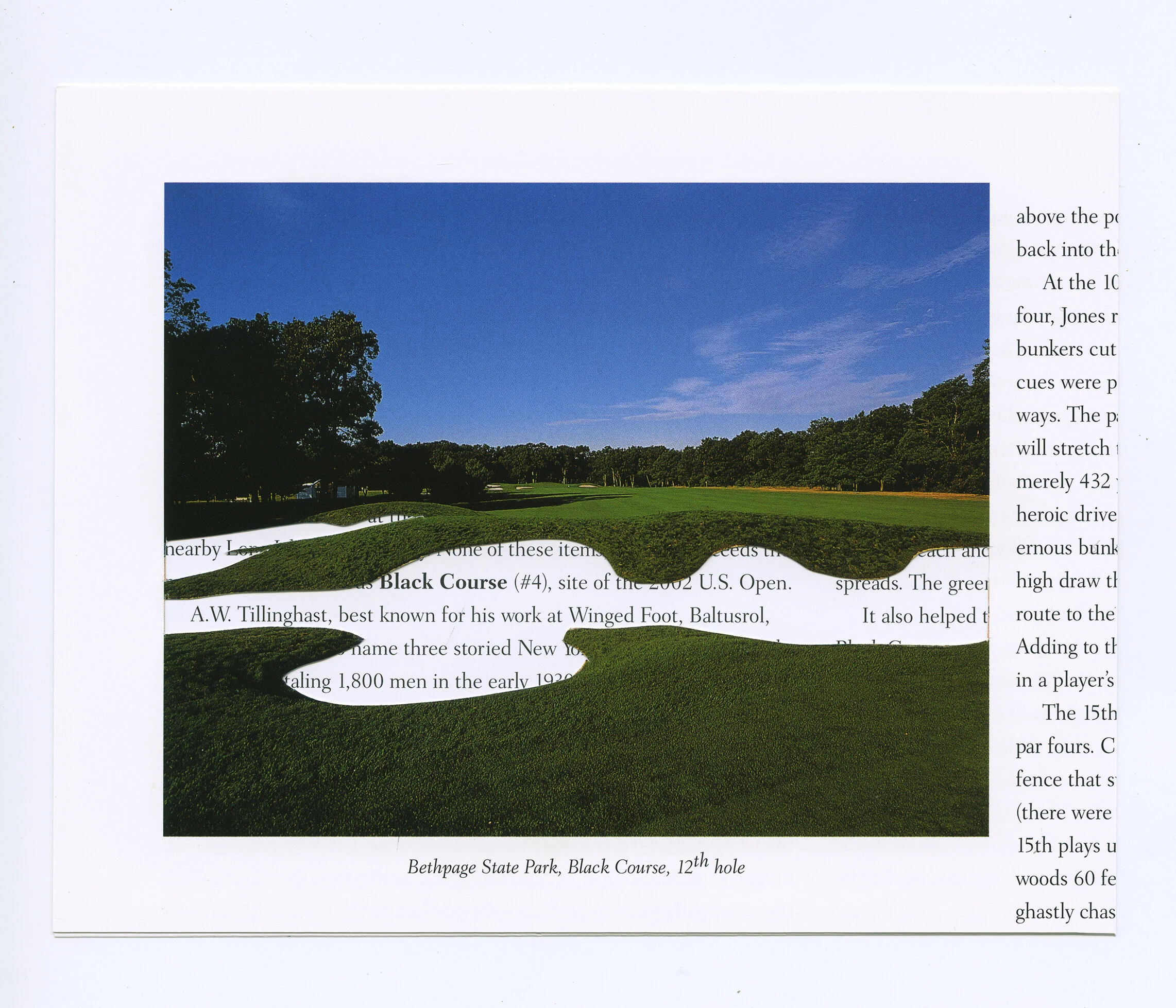 cutout_5_website_small.jpg