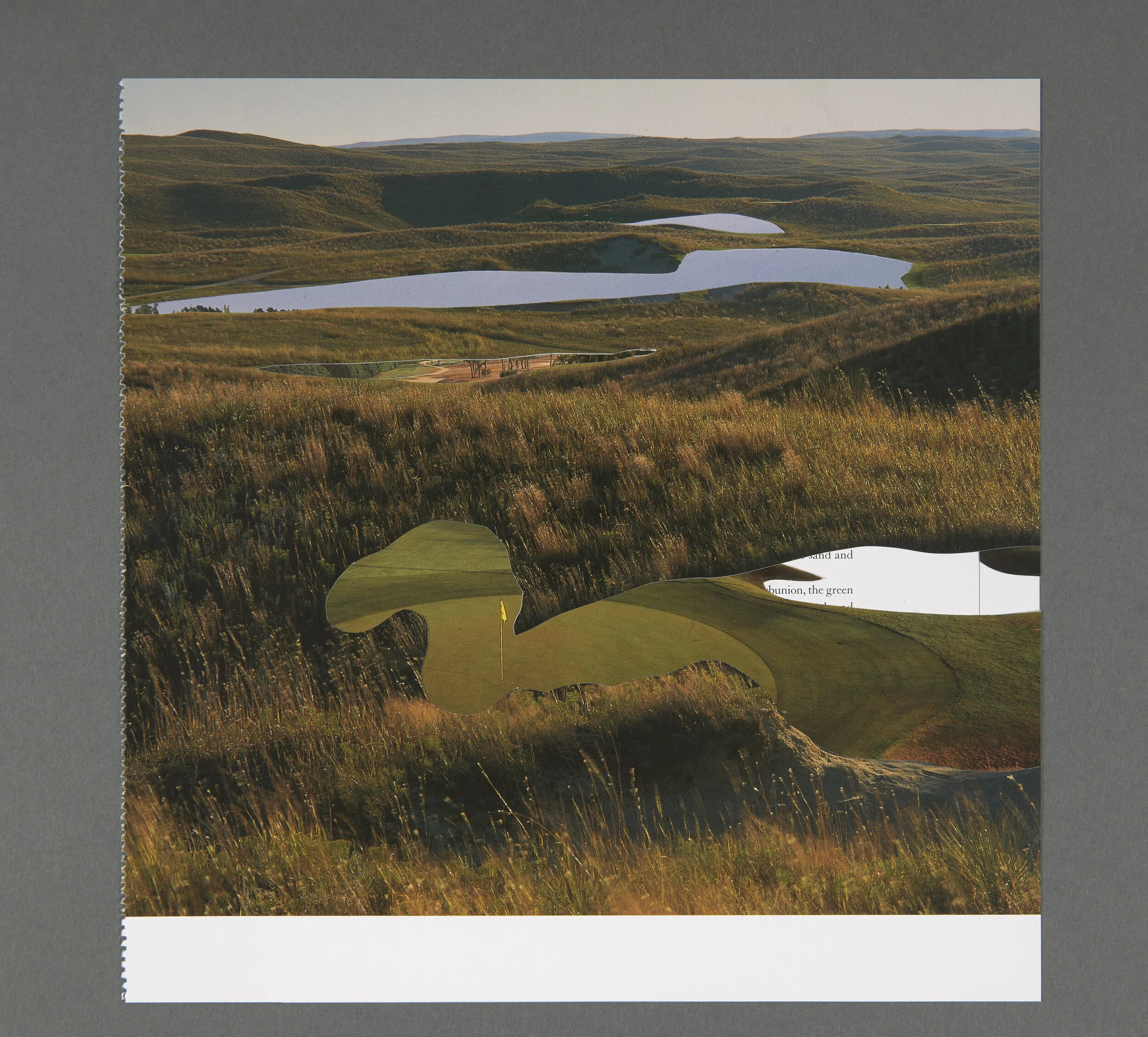 Cutout_48_website_small.jpg