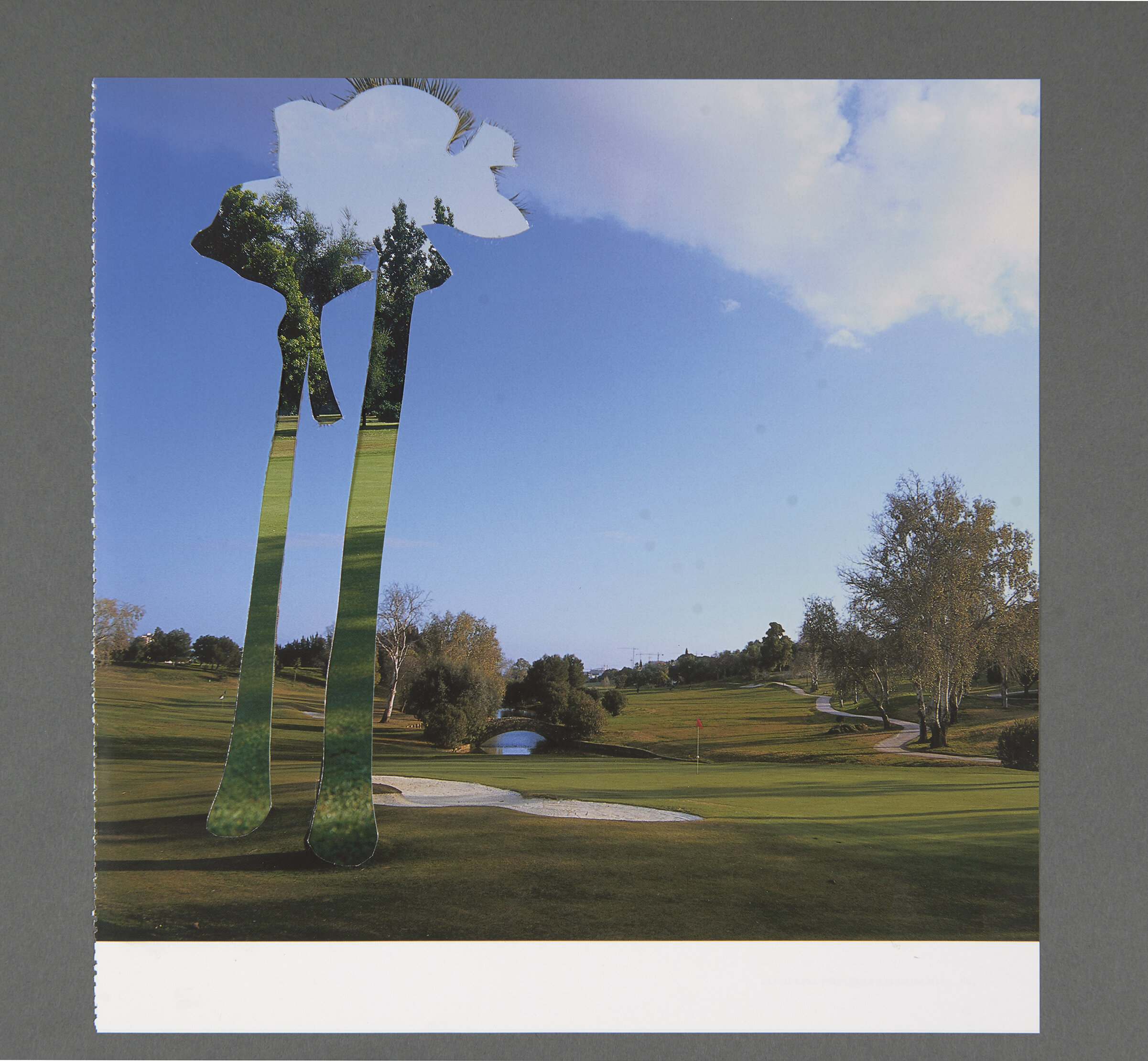 cutout_40_website_small.jpg