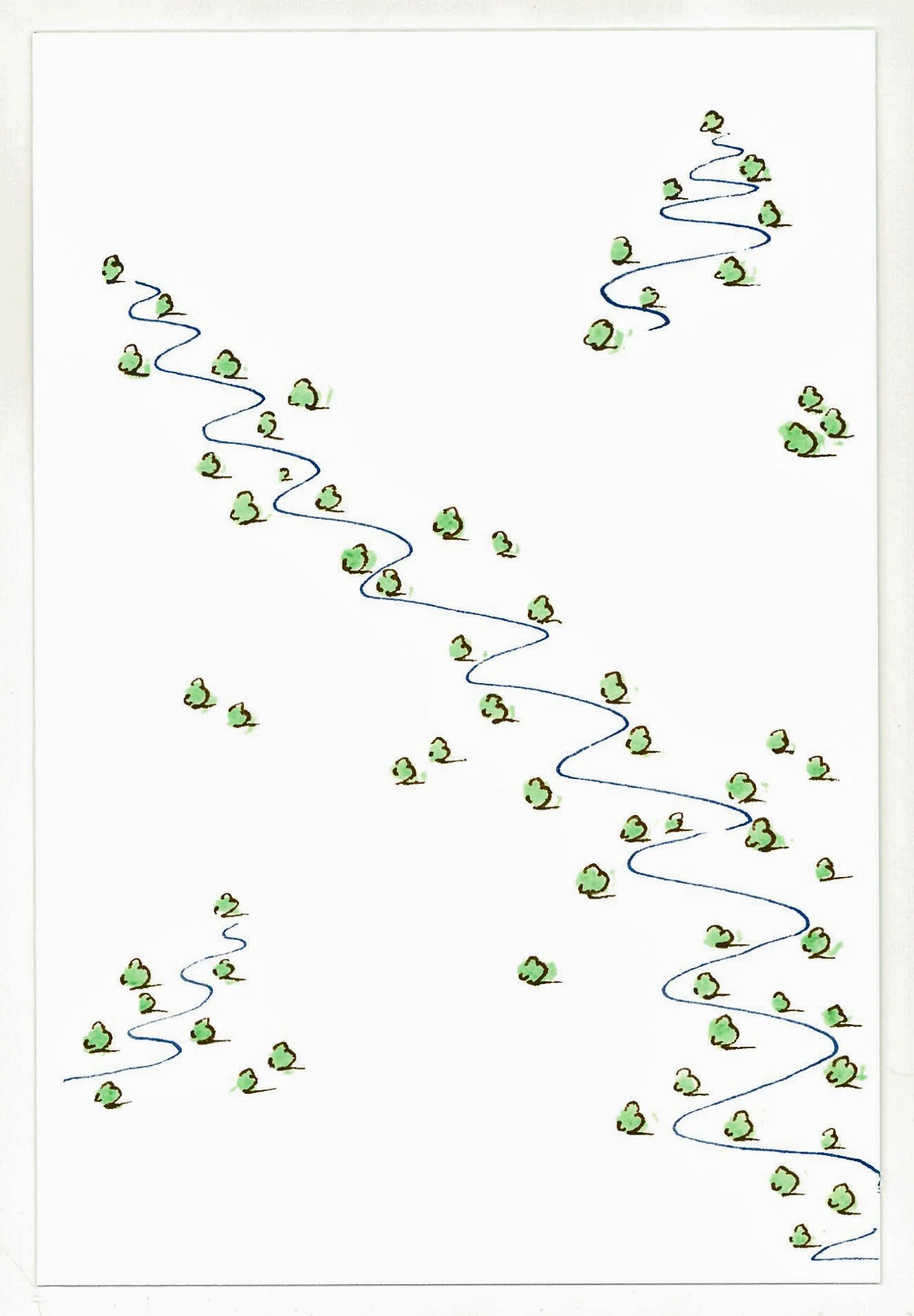 05small_trees_big_plans.jpg