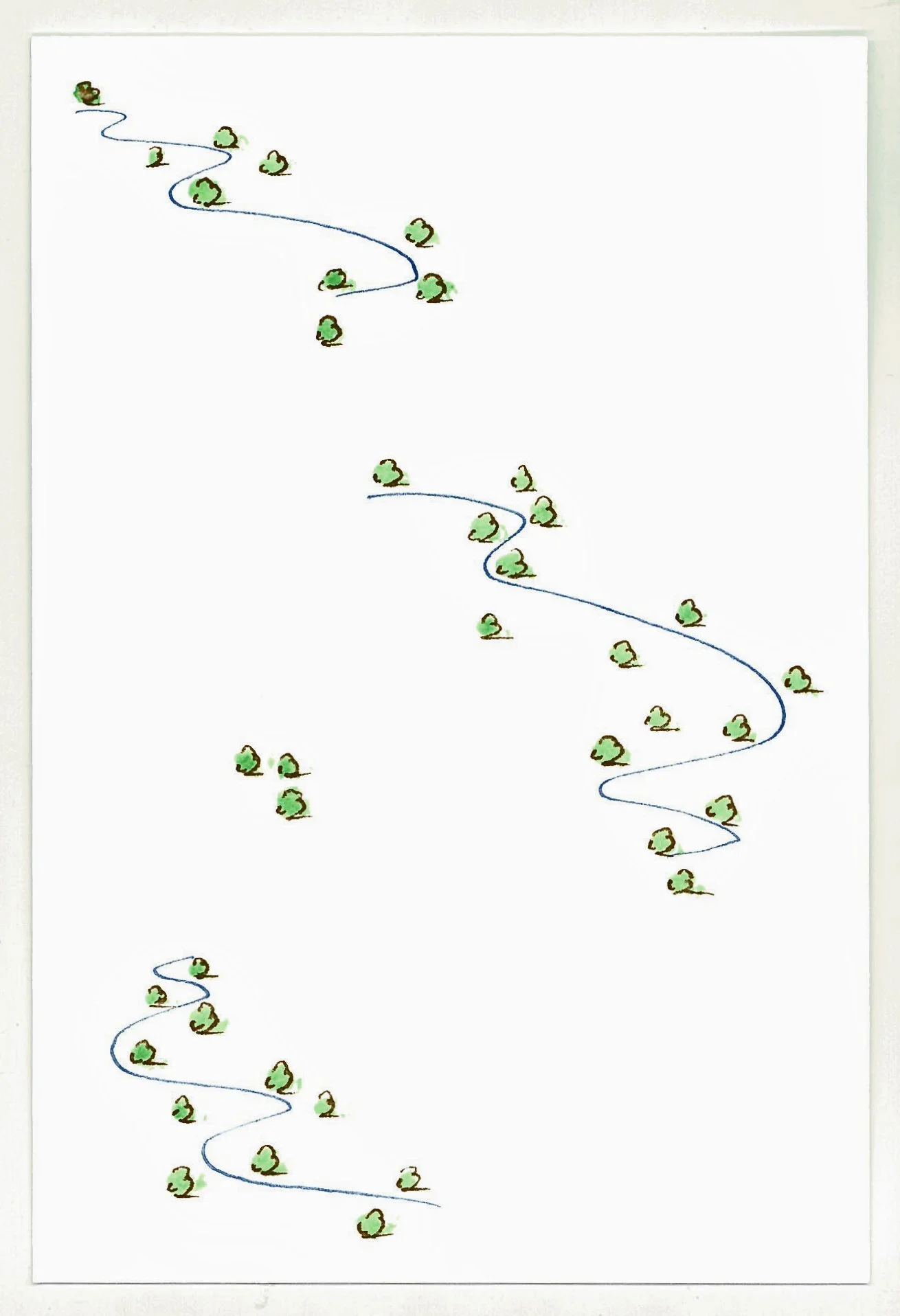 04small_trees_big_plans.jpg