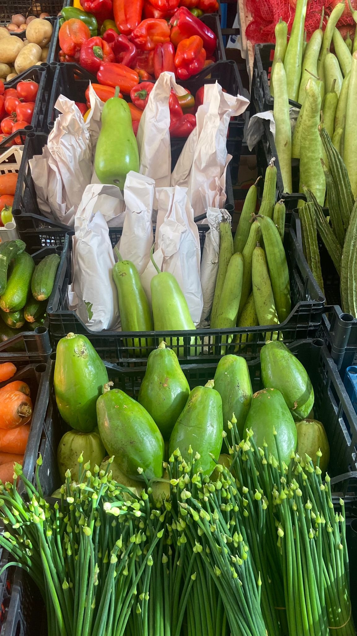 "Alien" cucumbers at a market in Rome