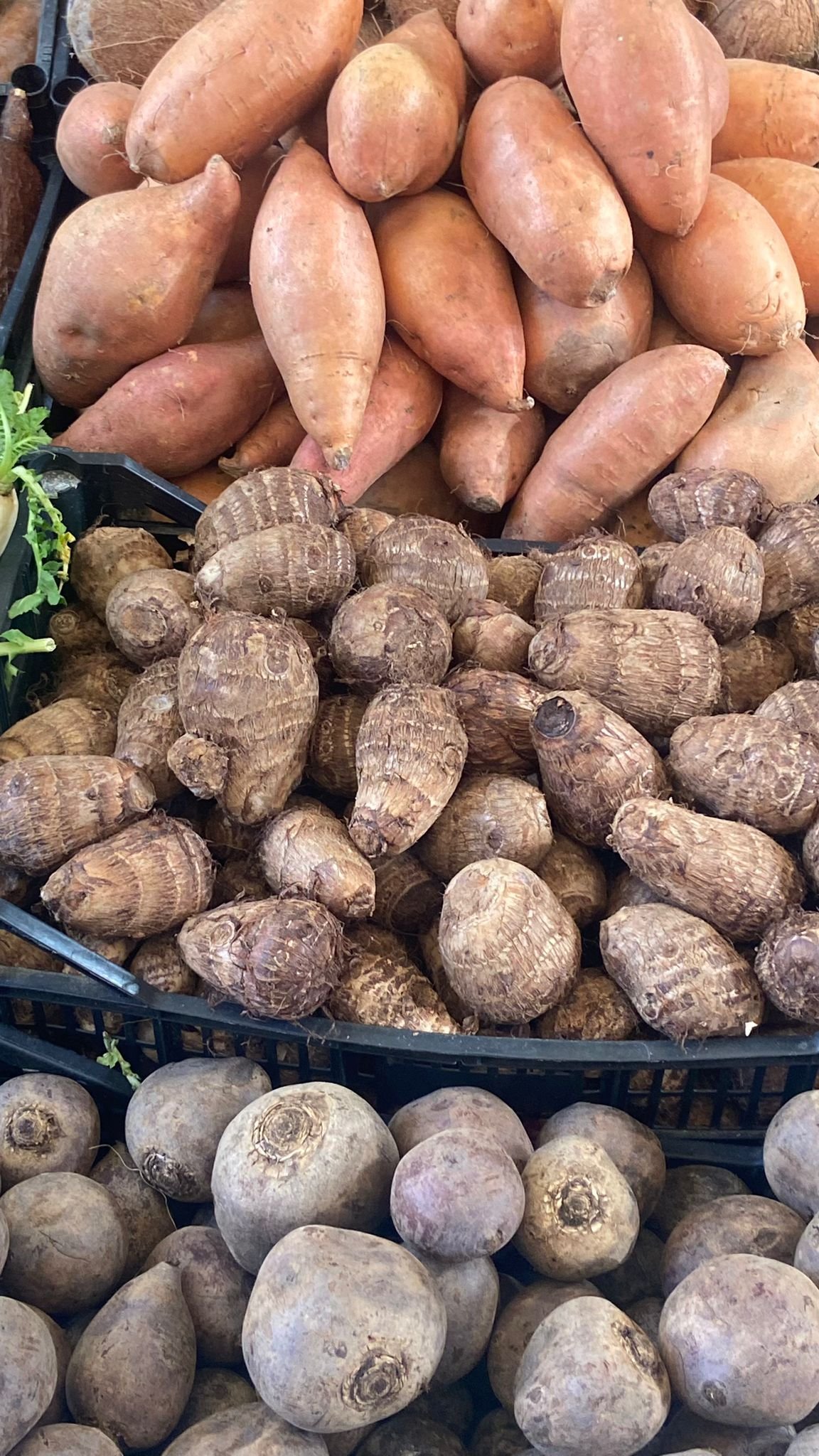 Taro and sweet potatoes at a market in Naples