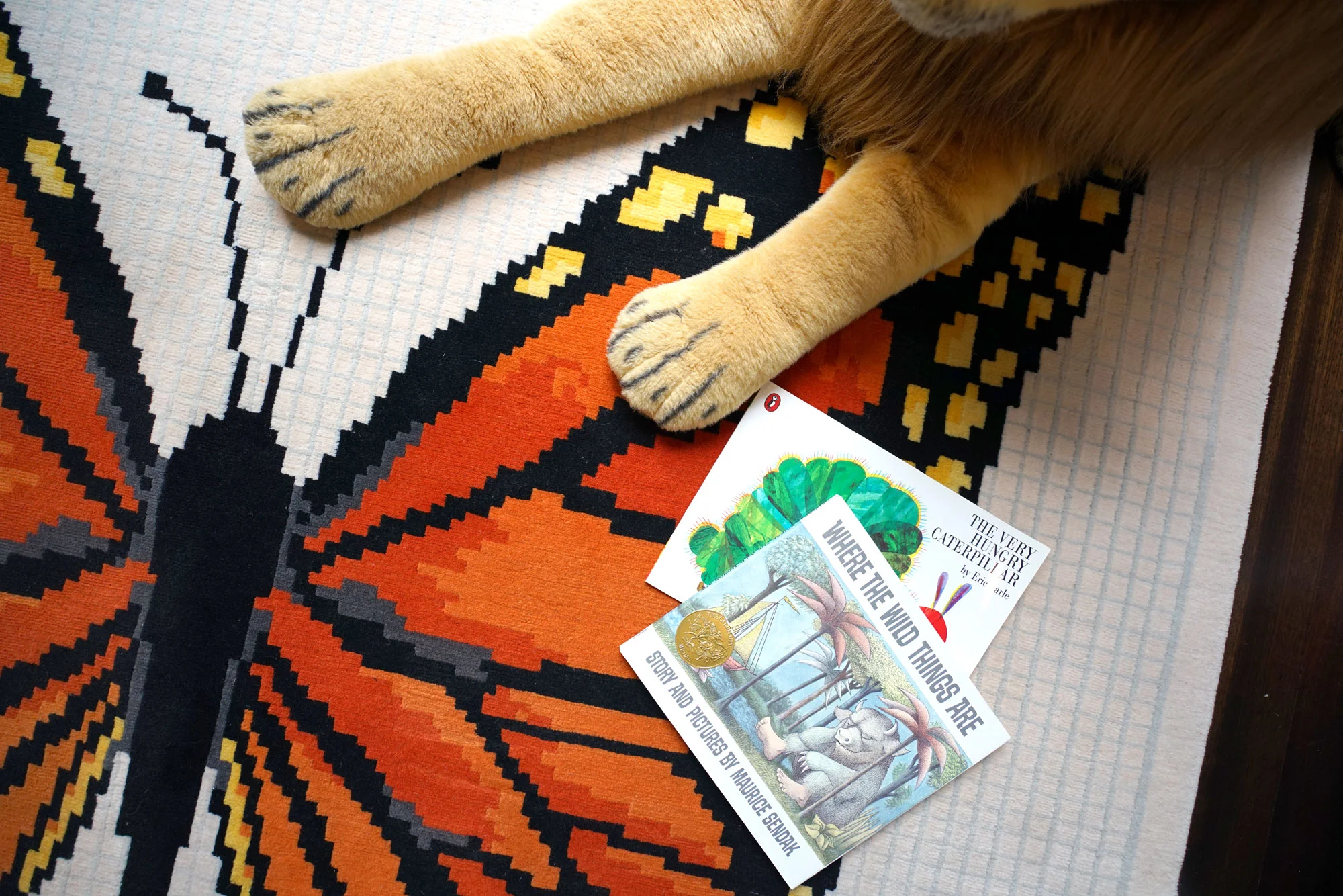 butterfly_lion.jpg