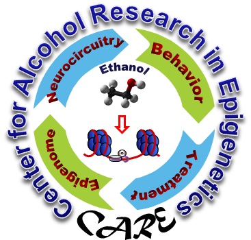 research_arc_logo.jpg