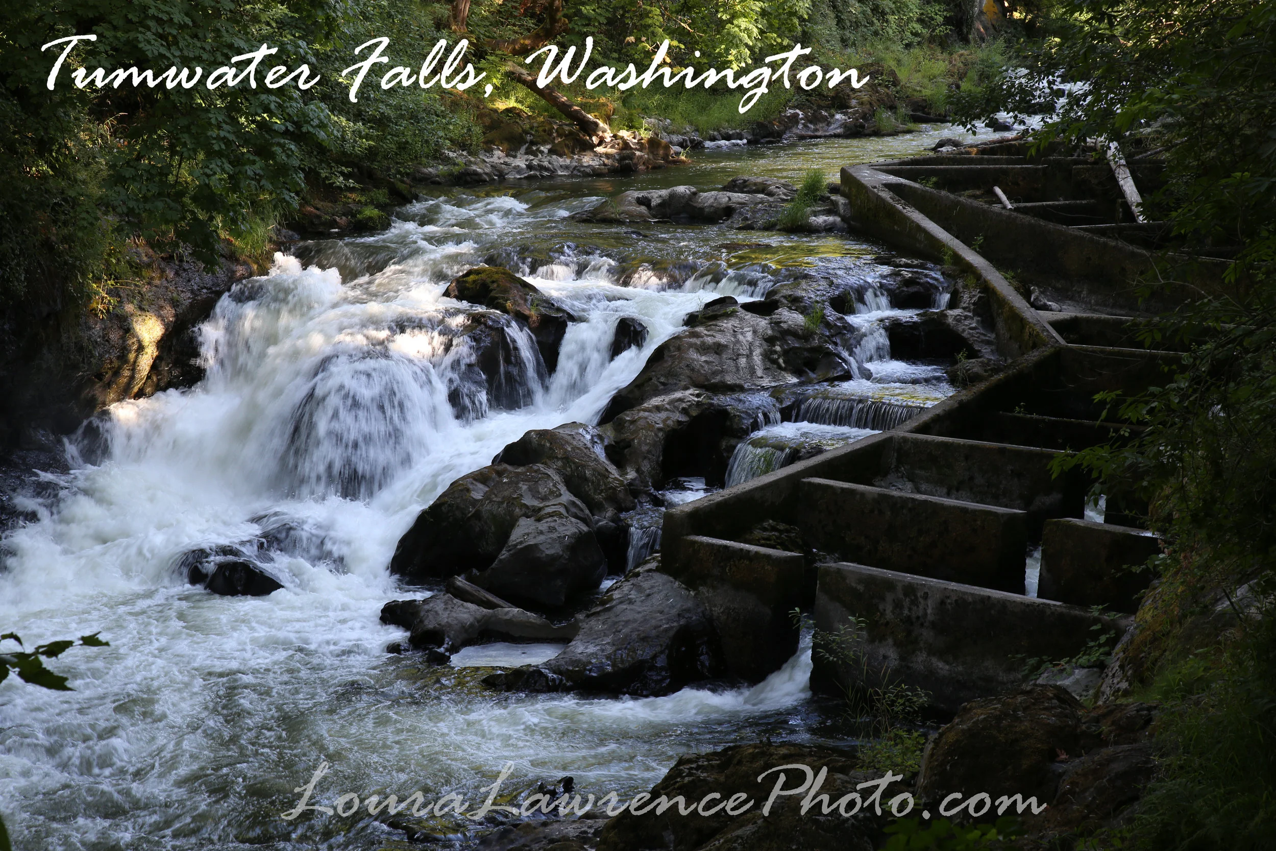 IMG_1571__postcard_watermark.jpg