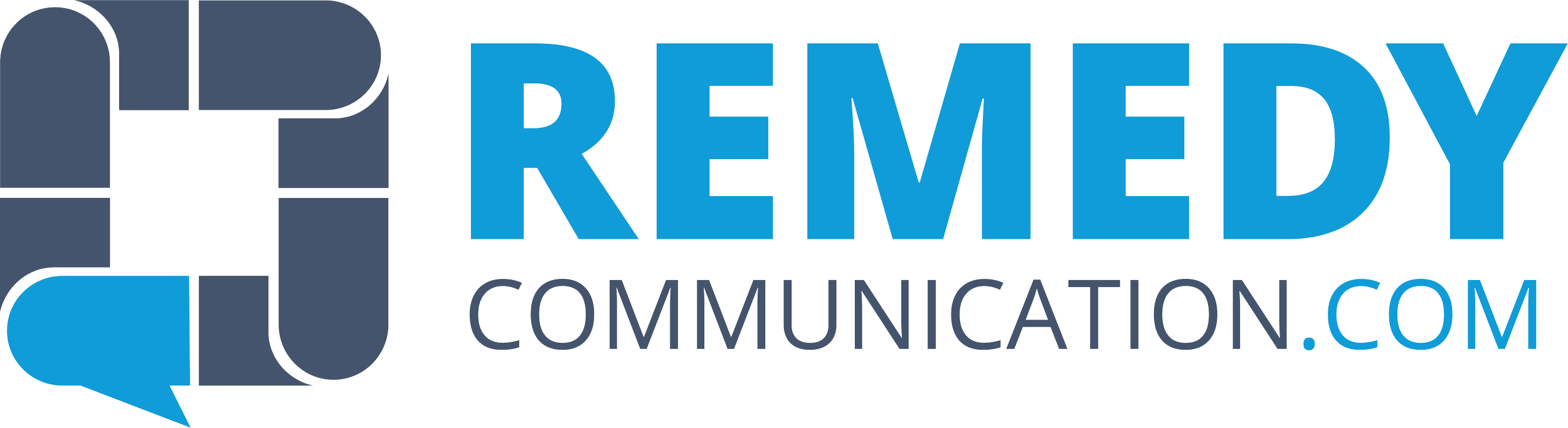 Remedy-LOGO 2021-rectangle_BLUESTEEL.png