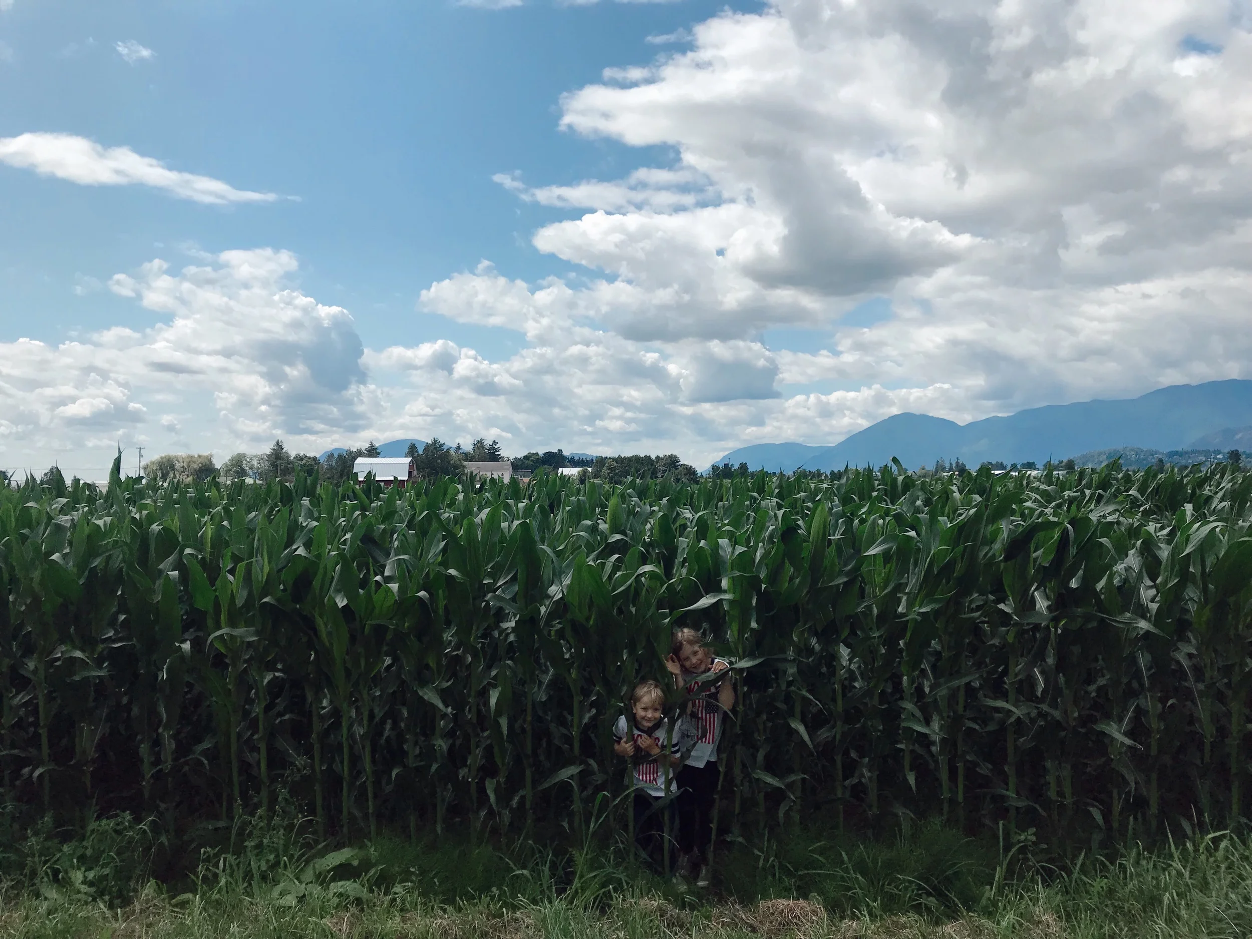 Favourite Music Finds [July]