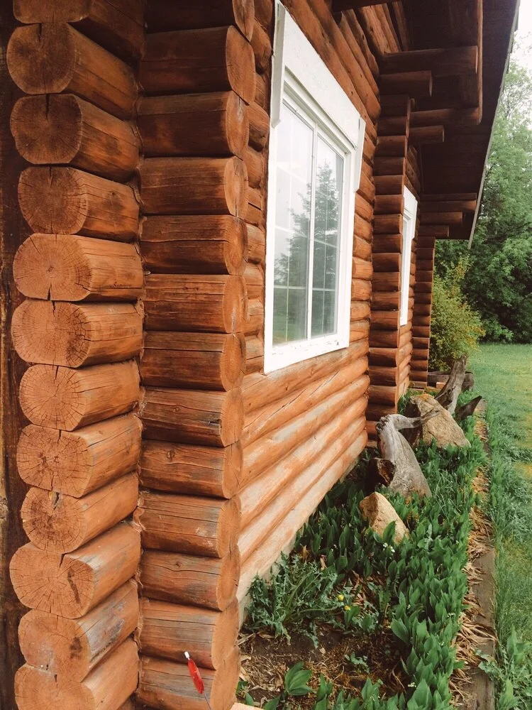 Welcome to the Kolkman Cabin