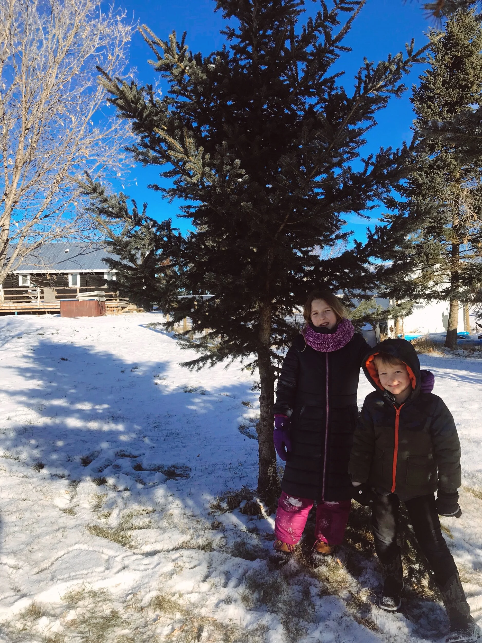 My Very Favourite Christmas Tradition