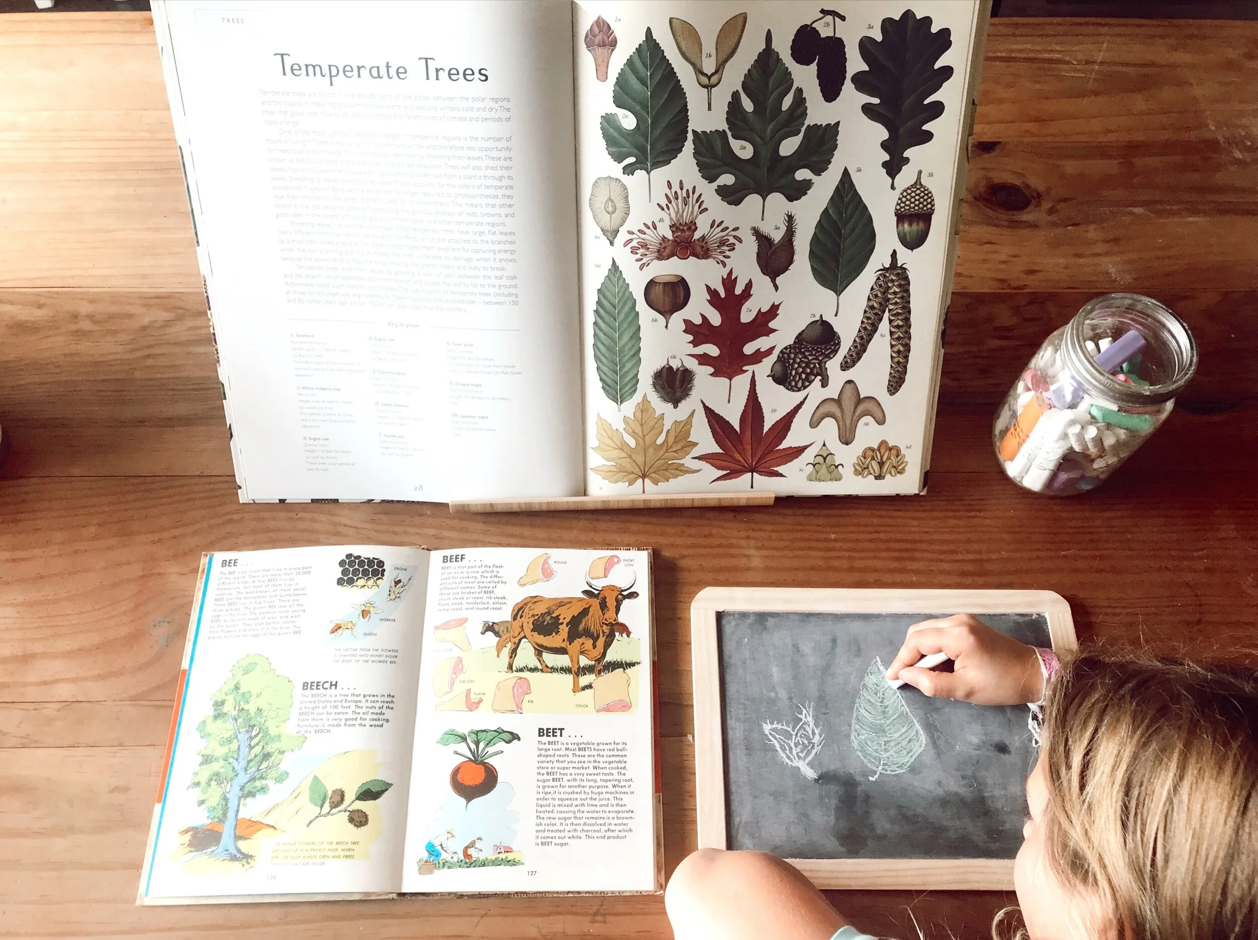 So You Homeschool Now