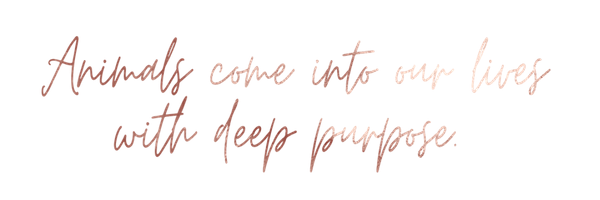 purpose (1).png