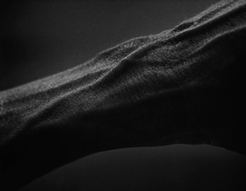 1- Human Body.png