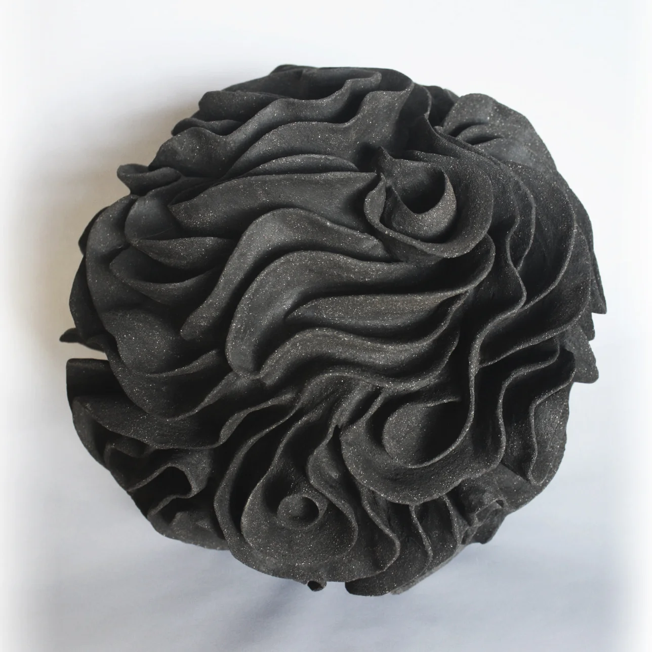très grande tremelle noire 31x31.jpg