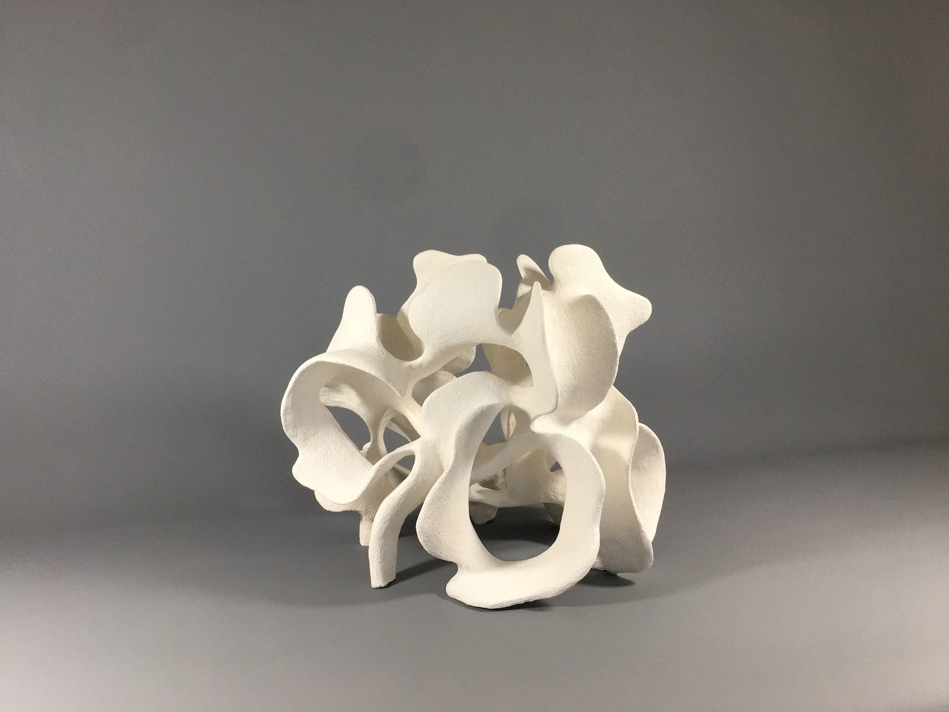 %22Célopode%22 2022,L34xHT28 .JPG