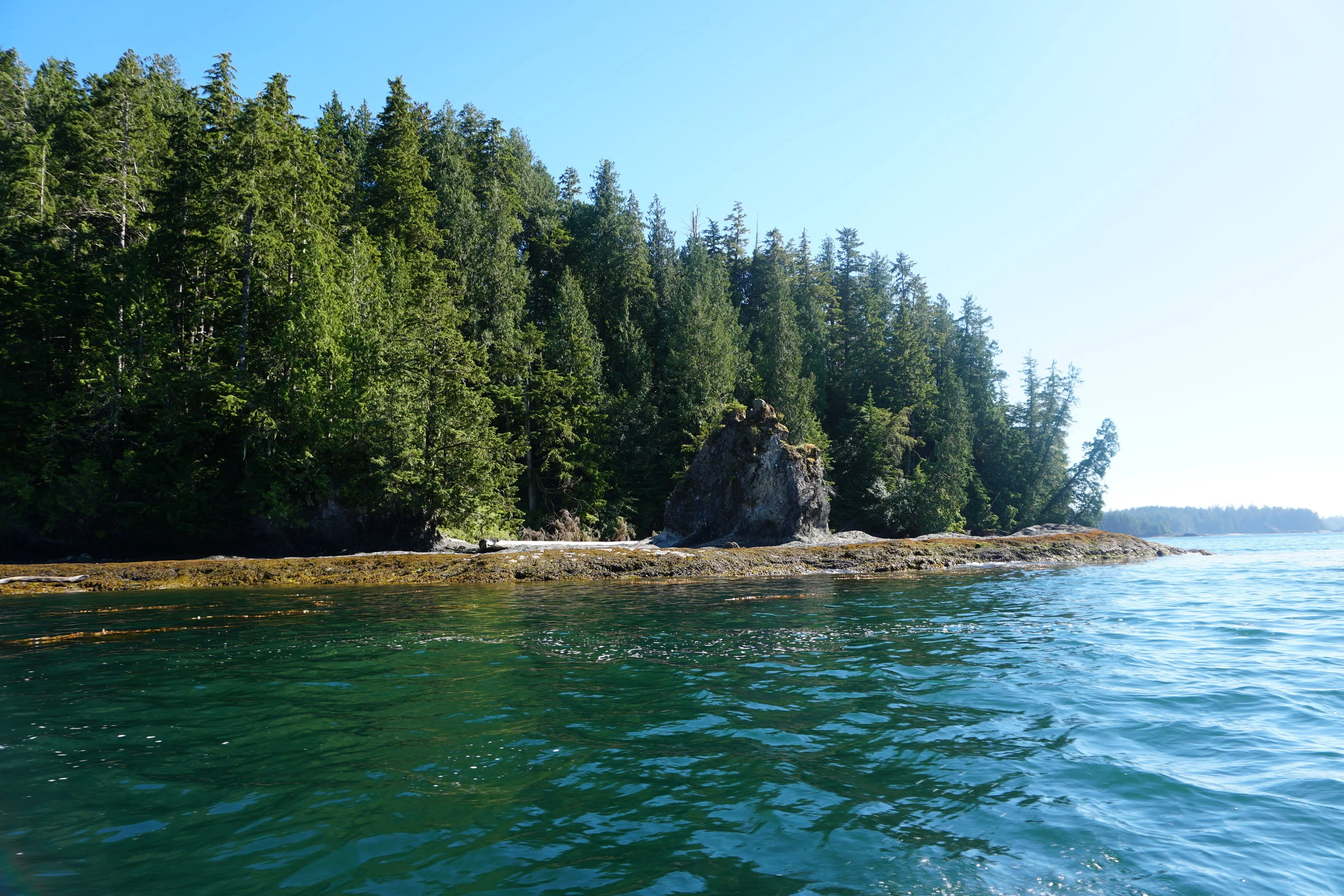 Episode Preview: North Island Frenzy