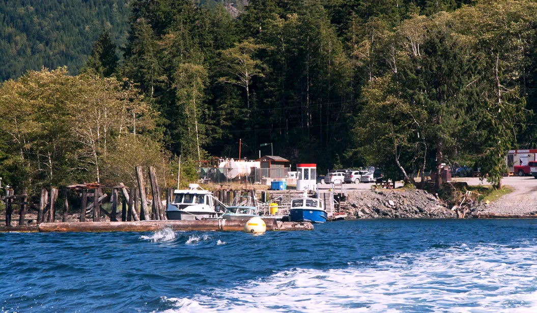 Fair Harbour Marina and Campground – Fair Harbour serves as the Gateway to Kyuquot and is the final destination for driving into the Kyuquot area. Equipped with supervised parking, a general store, fuel dock and 35 campsites, this is where we meet you to bring you into the lodge by boat, if that is your preferred way of arriving at Walters Cove Resort.