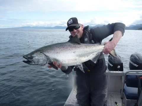 CRAZY SALMON FOOTAGE - Walters Cove Resort.