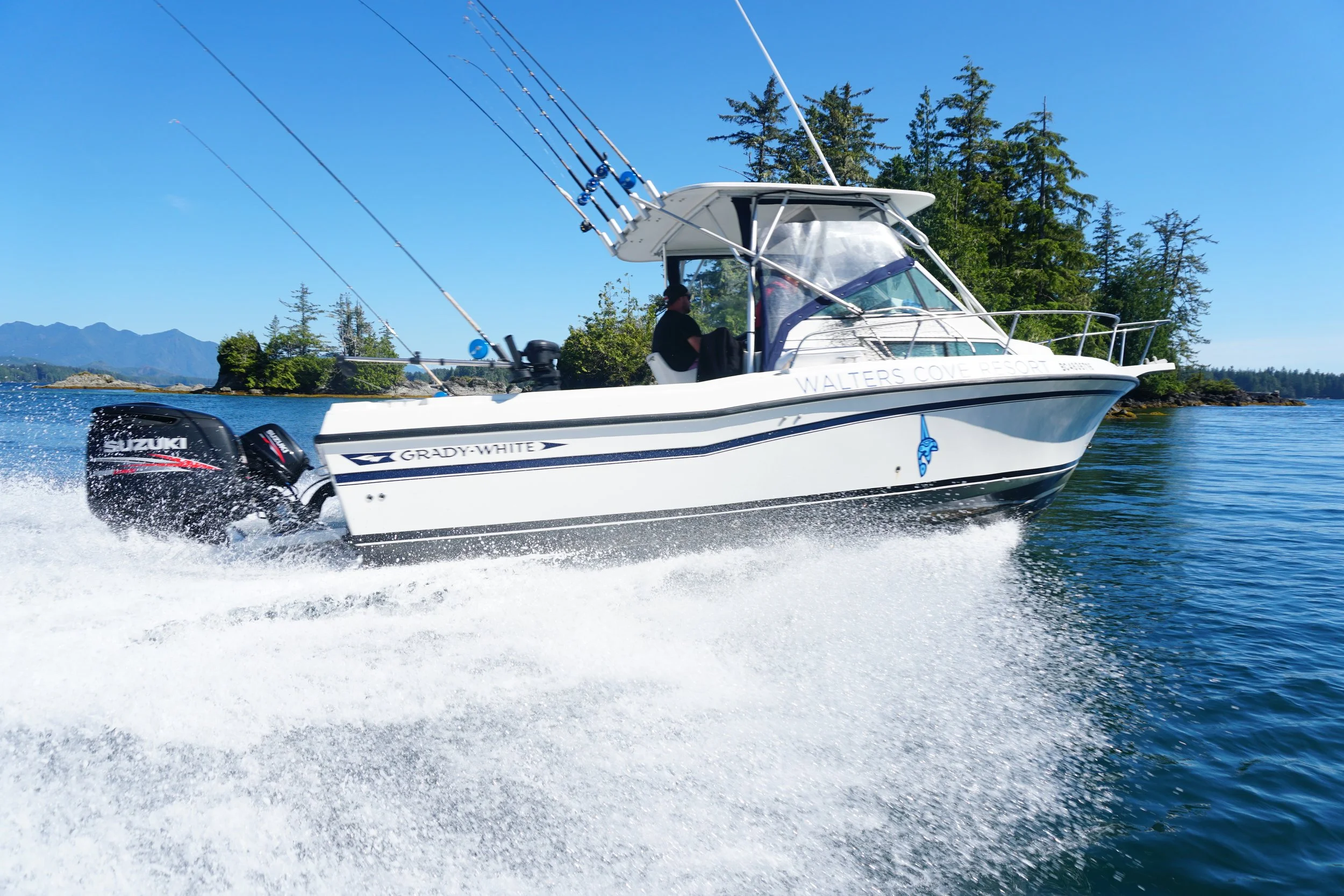 CHRISTMAS CAME EARLY THIS YEAR!!!  WALTERS COVE IS BACK IN BUSINESS!