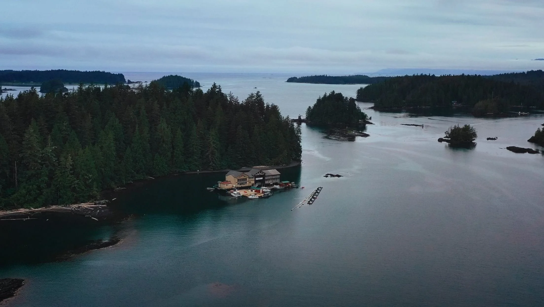 WE'RE BACK!!! FIRST FISHING REPORT SINCE AUG 2019!