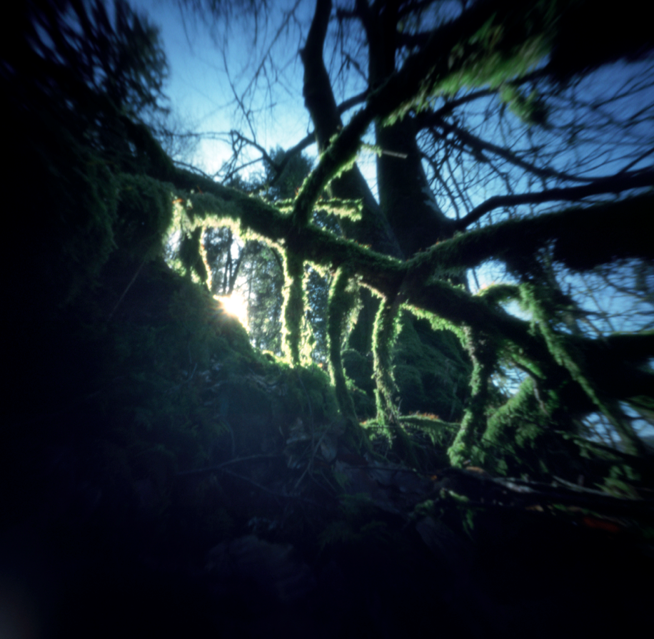 Bildschirmfoto 2016-11-22 um 22.51.41.png