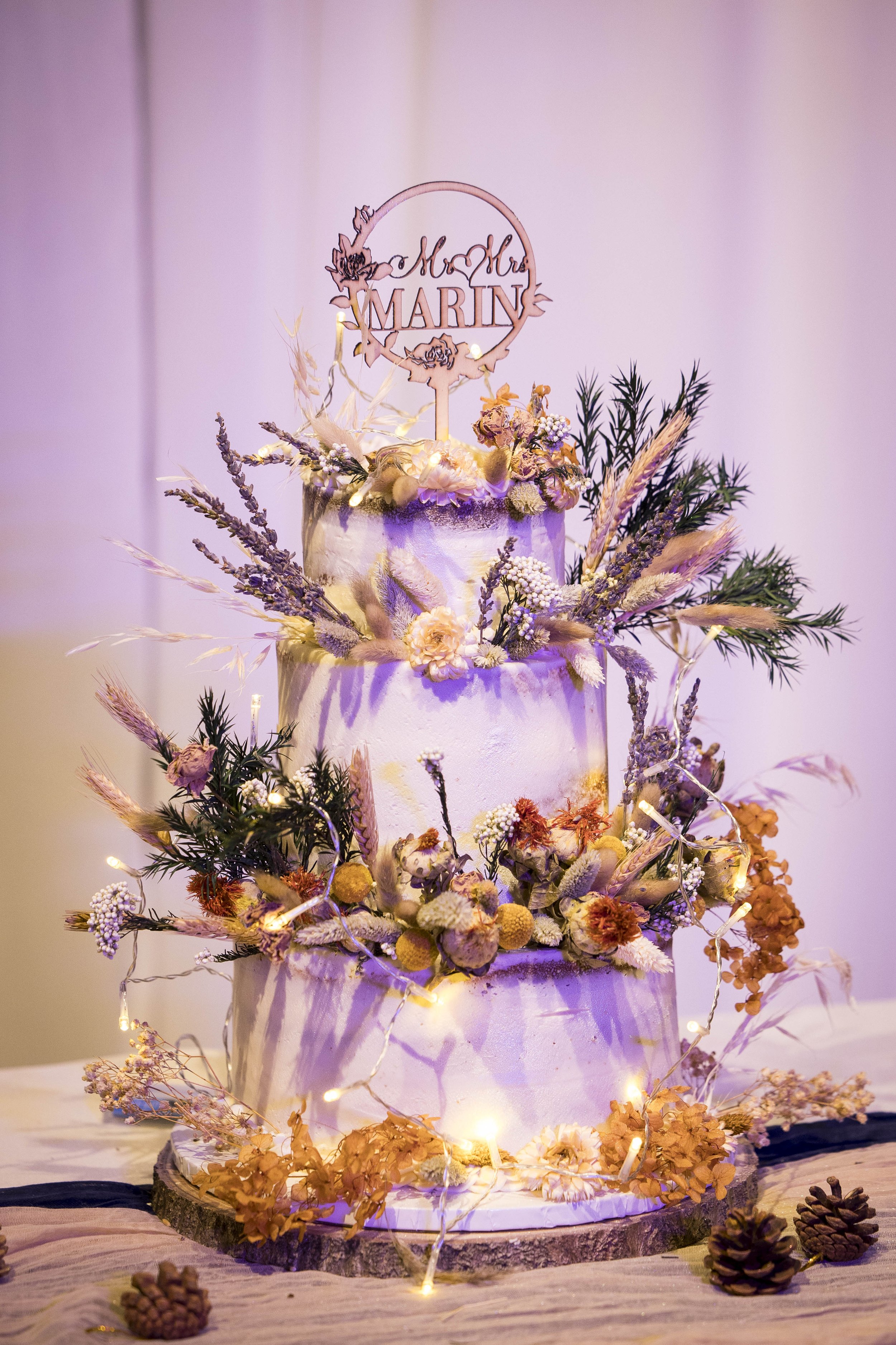 20251110_Marin_Wedding_393.JPG