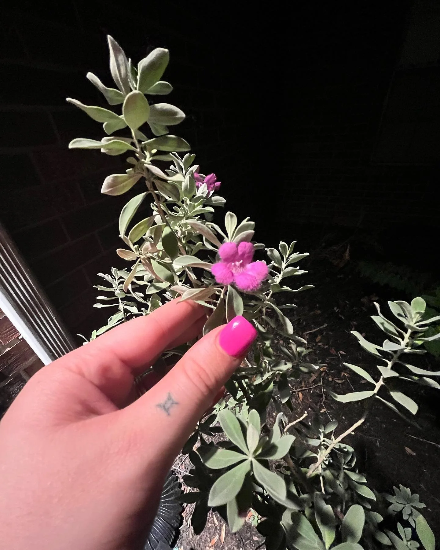 I condemn the violence against Palestinians happening right here and now. I woke up this morning to see a video of Palestinian students on UT Campus being verbally attacked and brutalized by total strangers for gathering in public. This horrifies me.