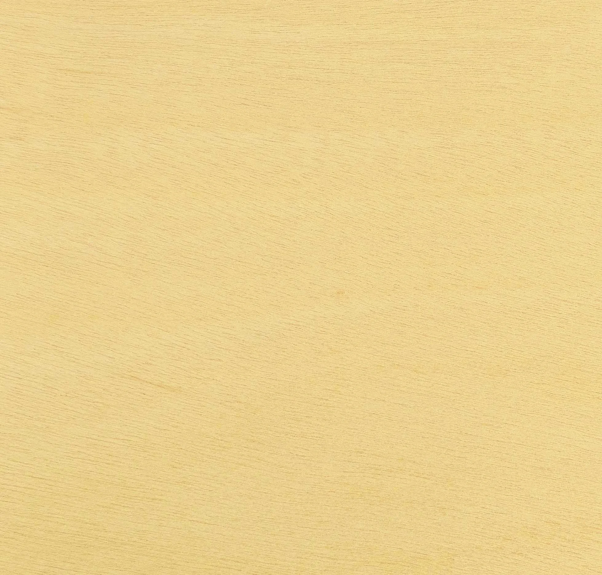 Birch Paperthin