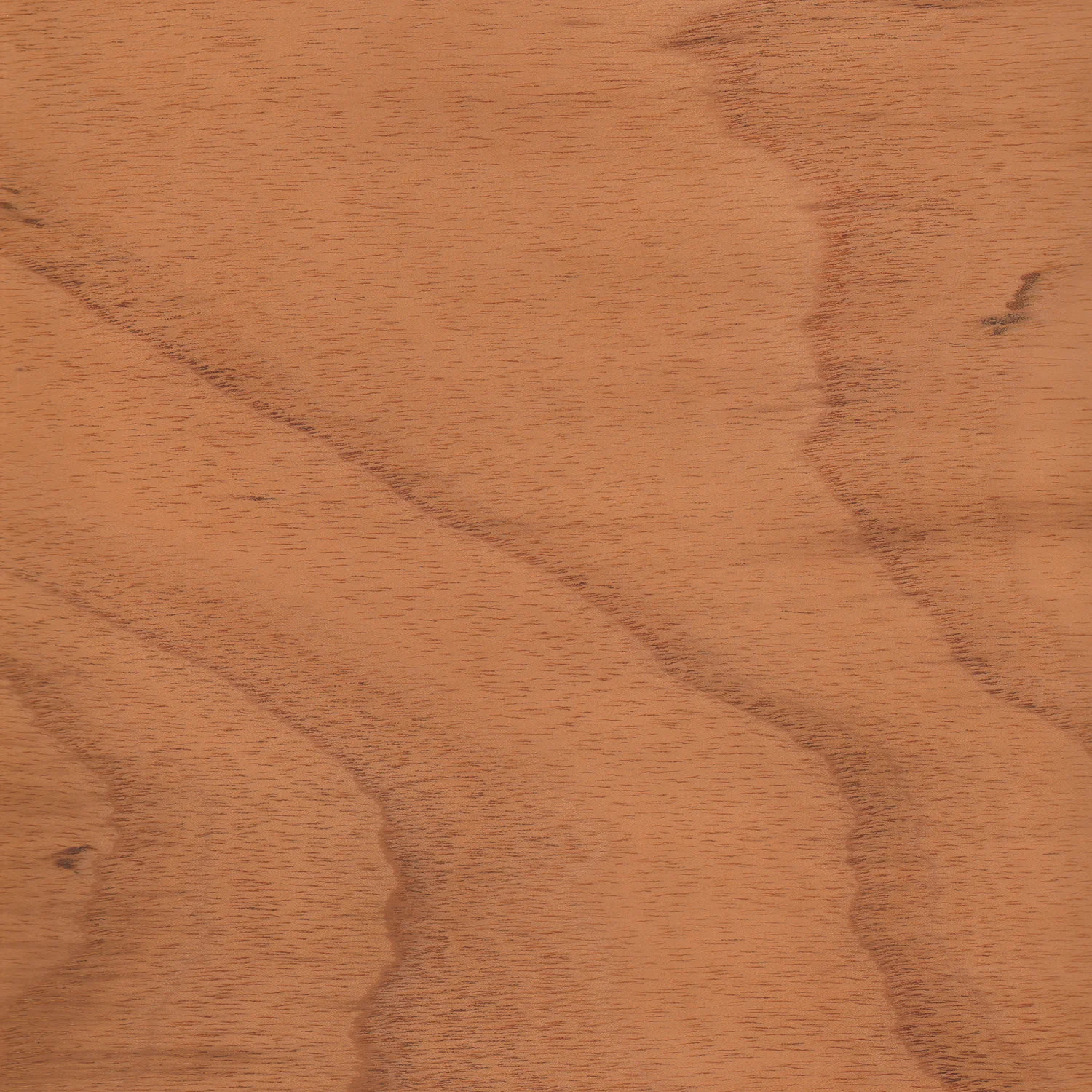 Red Cedar Available in 0.35mm adhesive backed & 0.45mm / 0.6mm / 0.8mm / 1.6mm Maximum size: 450mm x 320mm