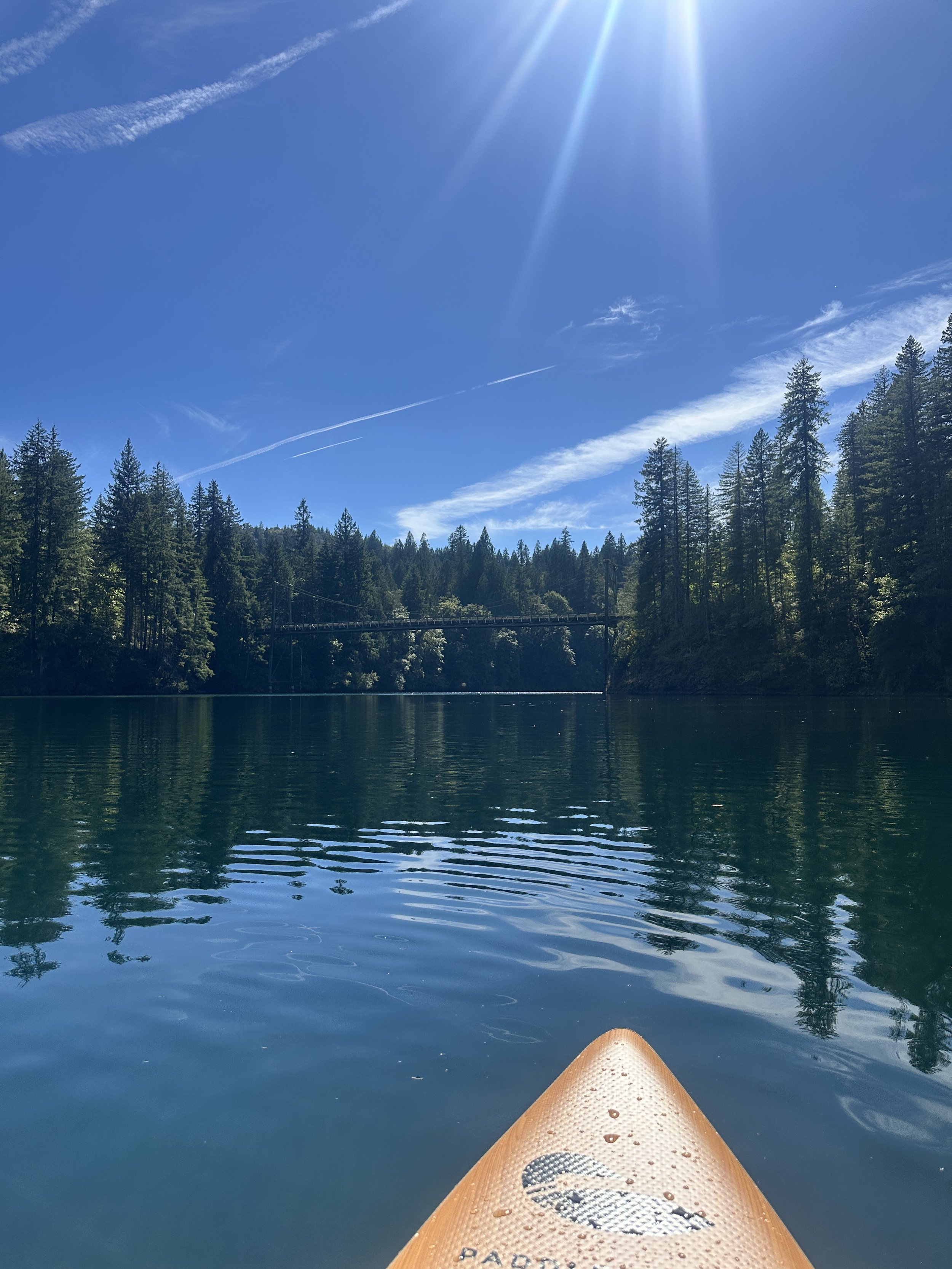 Why I Don't Feel Like It (And Did It Anyway): An ADHD Burnout Story