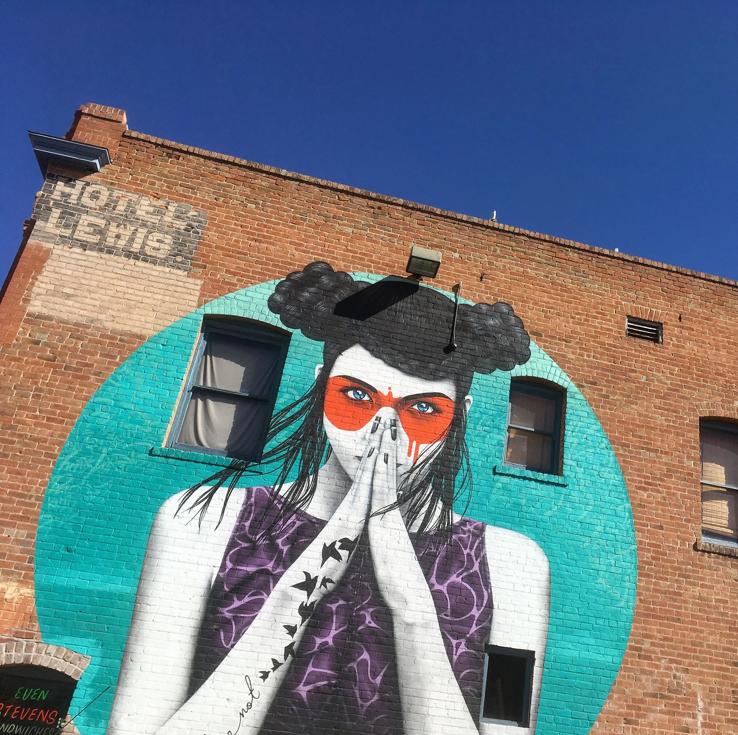 Fin Dac As Seen In Tucson, Arizona USA